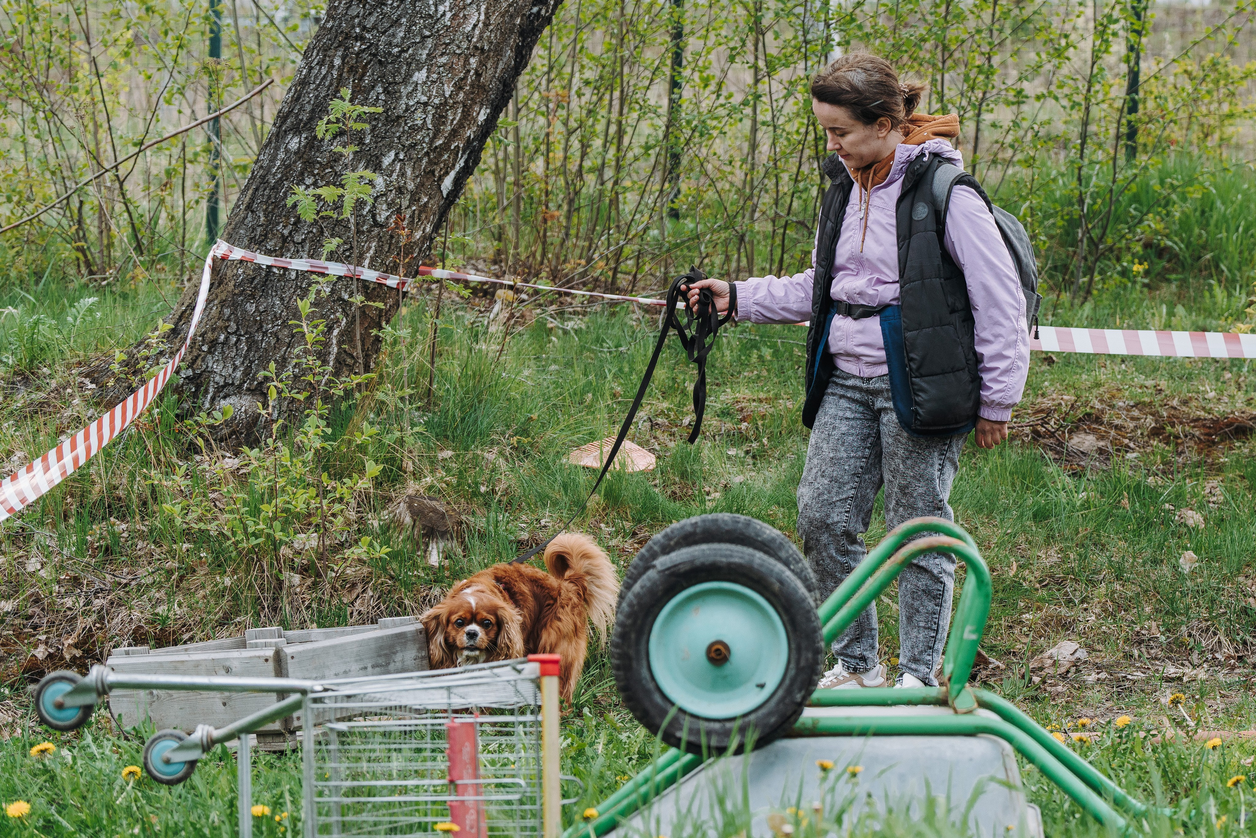Соревнования по ноузворку в Лосево. Фотограф анималист в Спб недорого Олеся Майорова