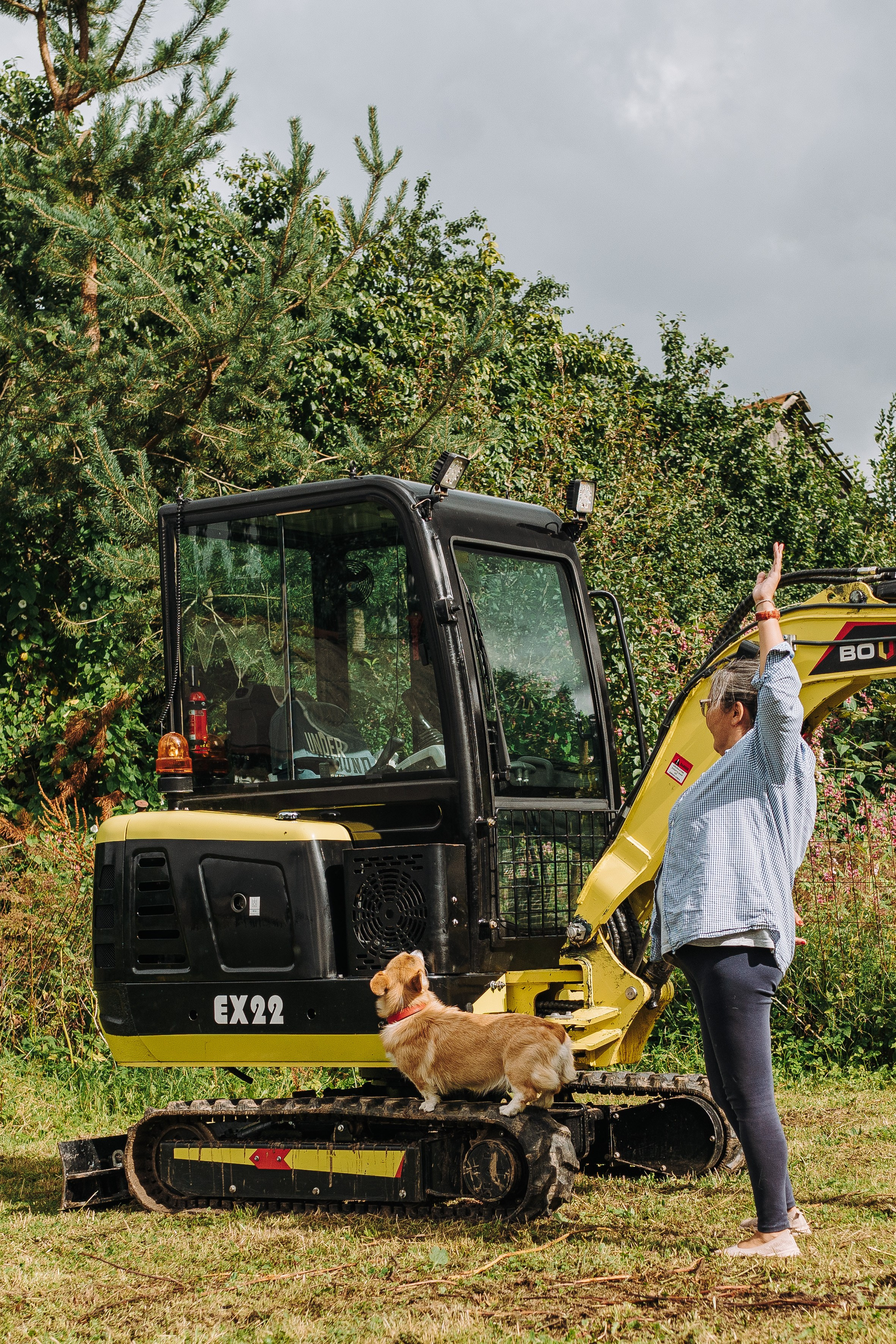 Соревнования по ноузворку в Новожилово. Фотограф анималист в Спб недорого Олеся Майорова