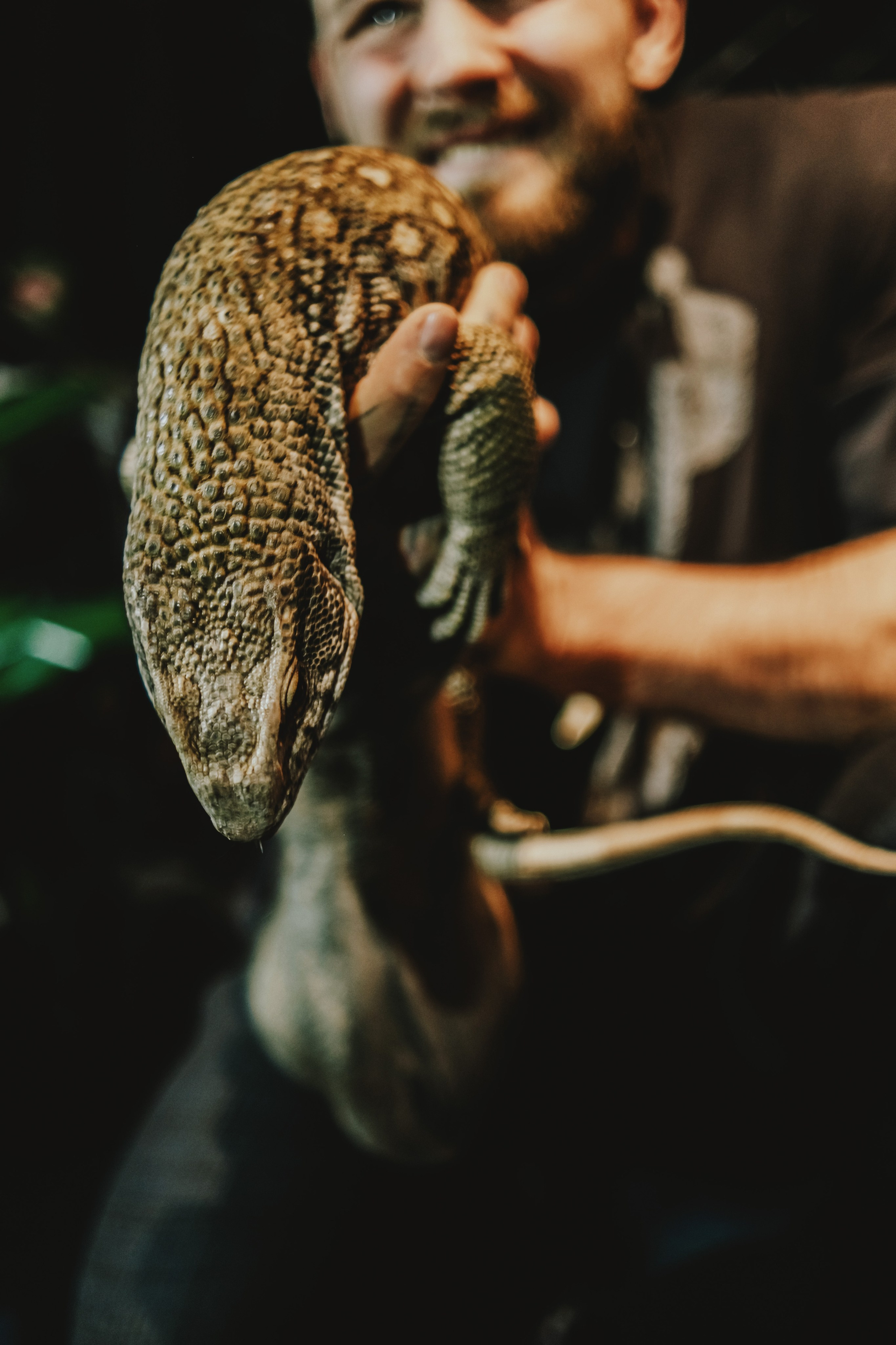 Дом Драконов. Nattie.ph