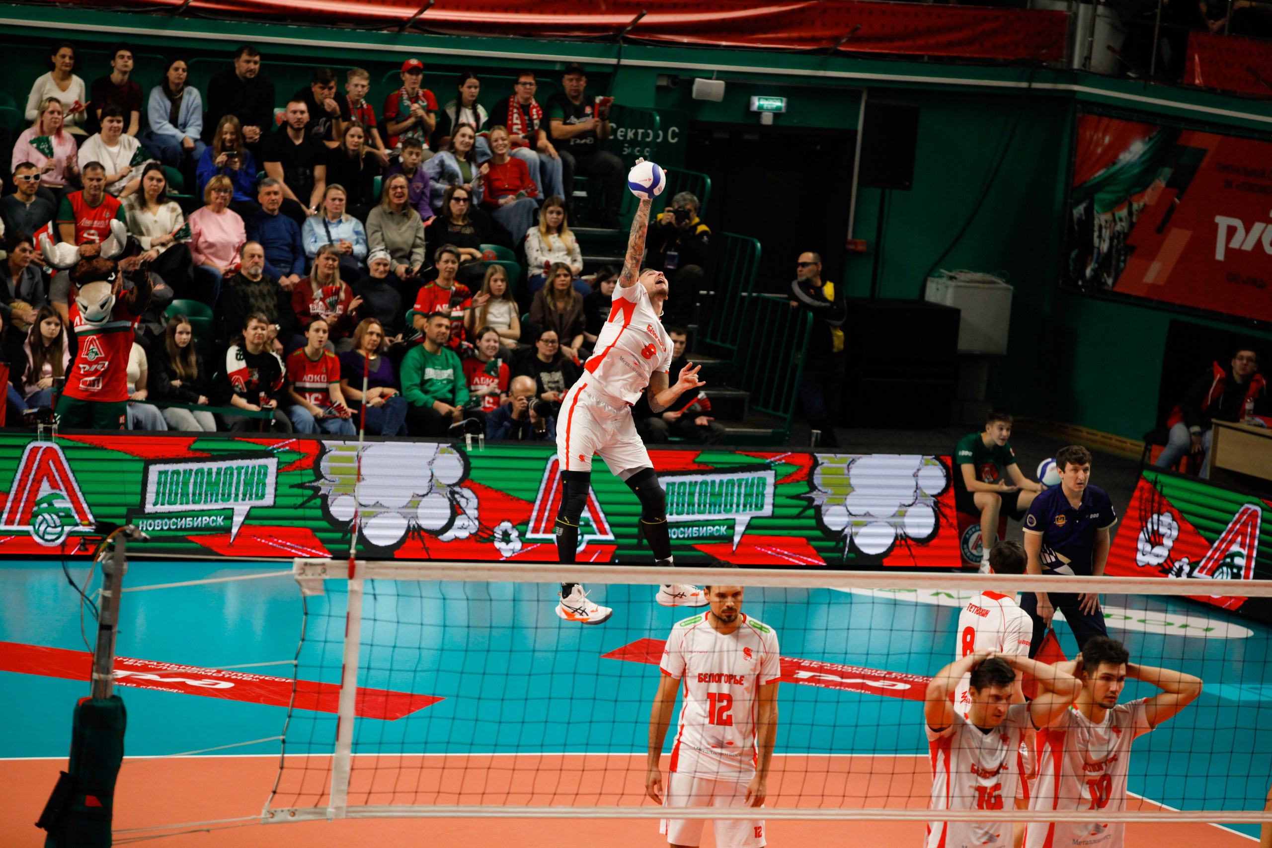 ВОЛЕЙБОЛ. Фото. Спортивный фотограф, трансляция, звук и свет в Новосибирске