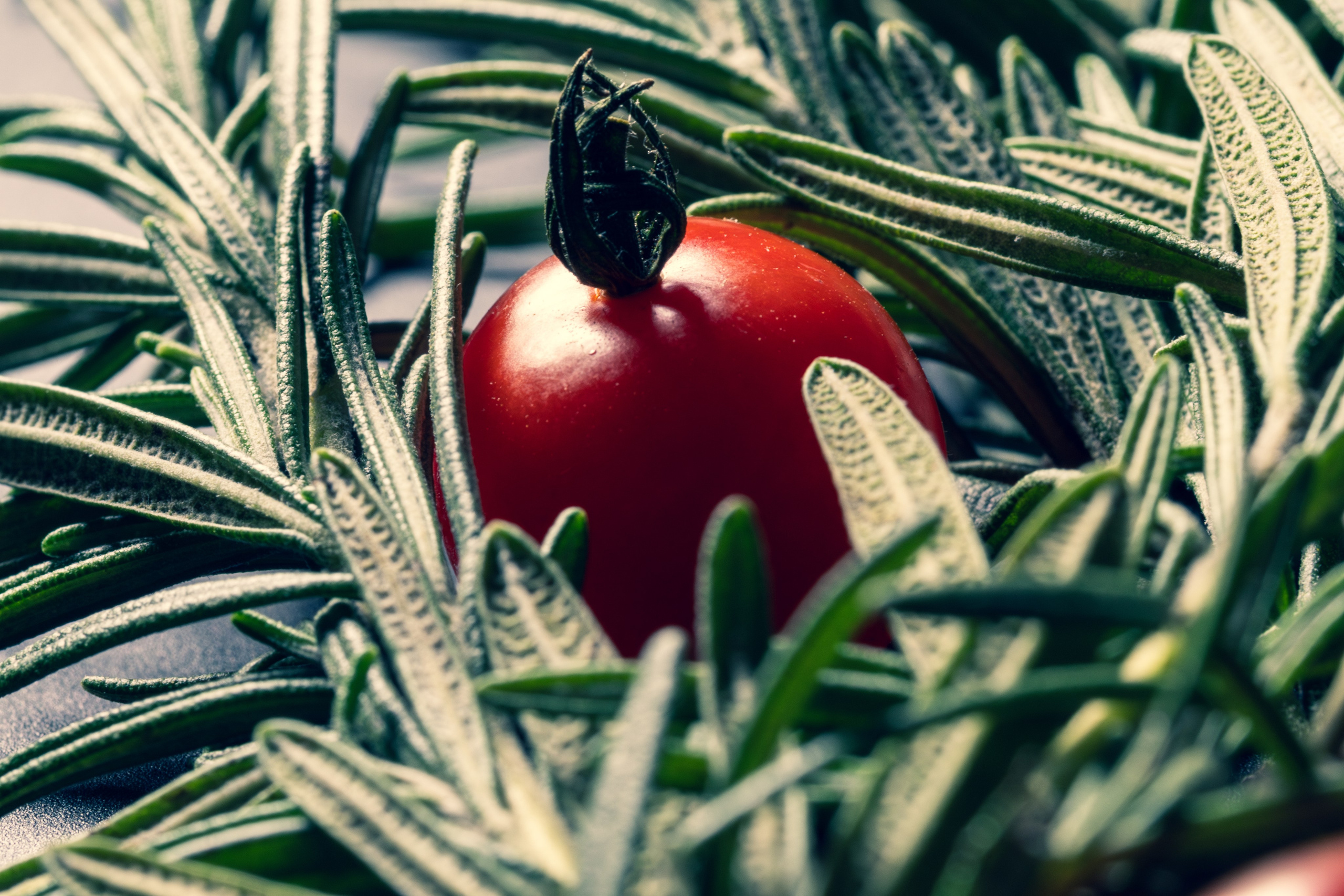 Фуд-съёмка. Предметный, рекламный, ювелирный фотограф в Москве