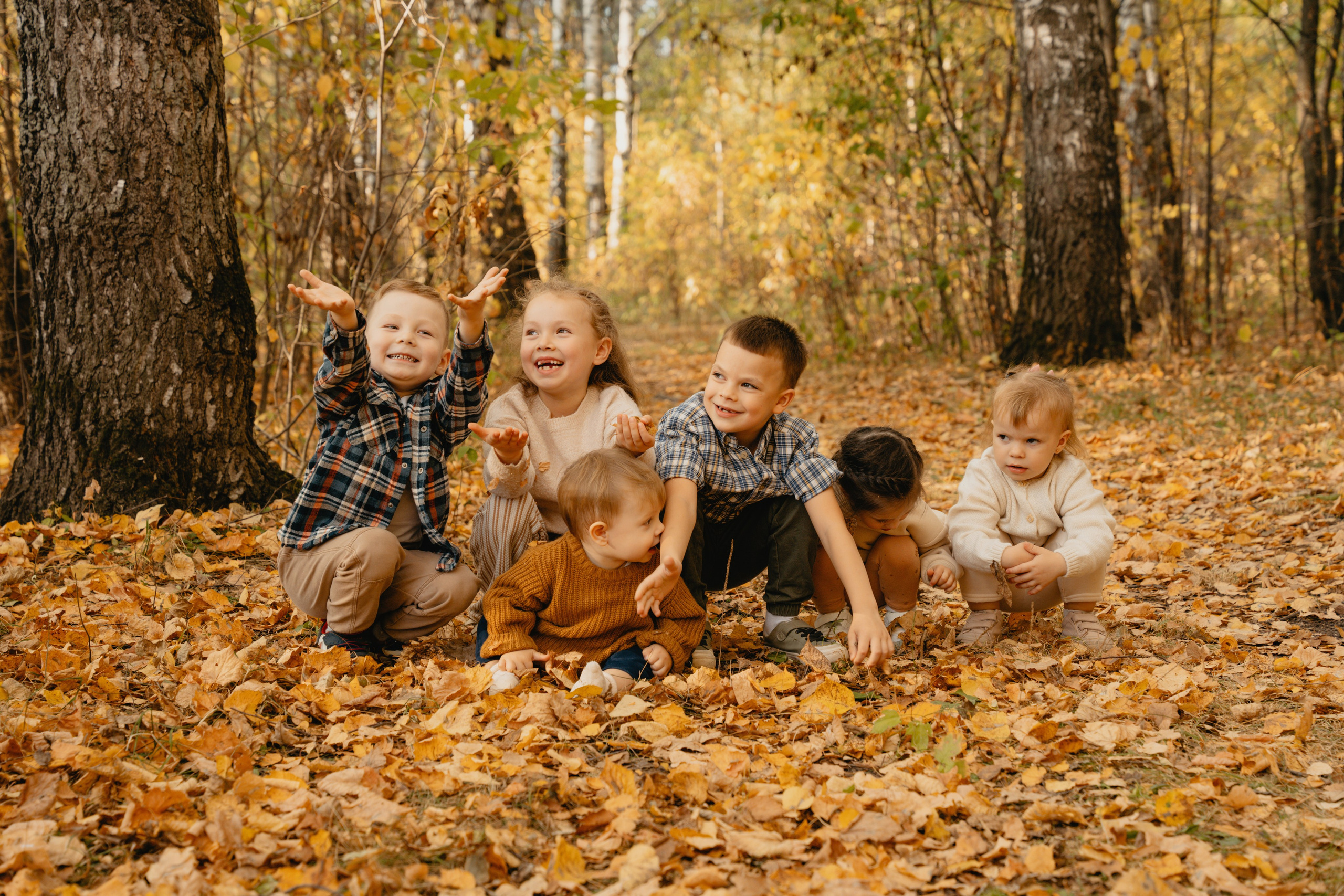 Осенние краски в закате солнца
