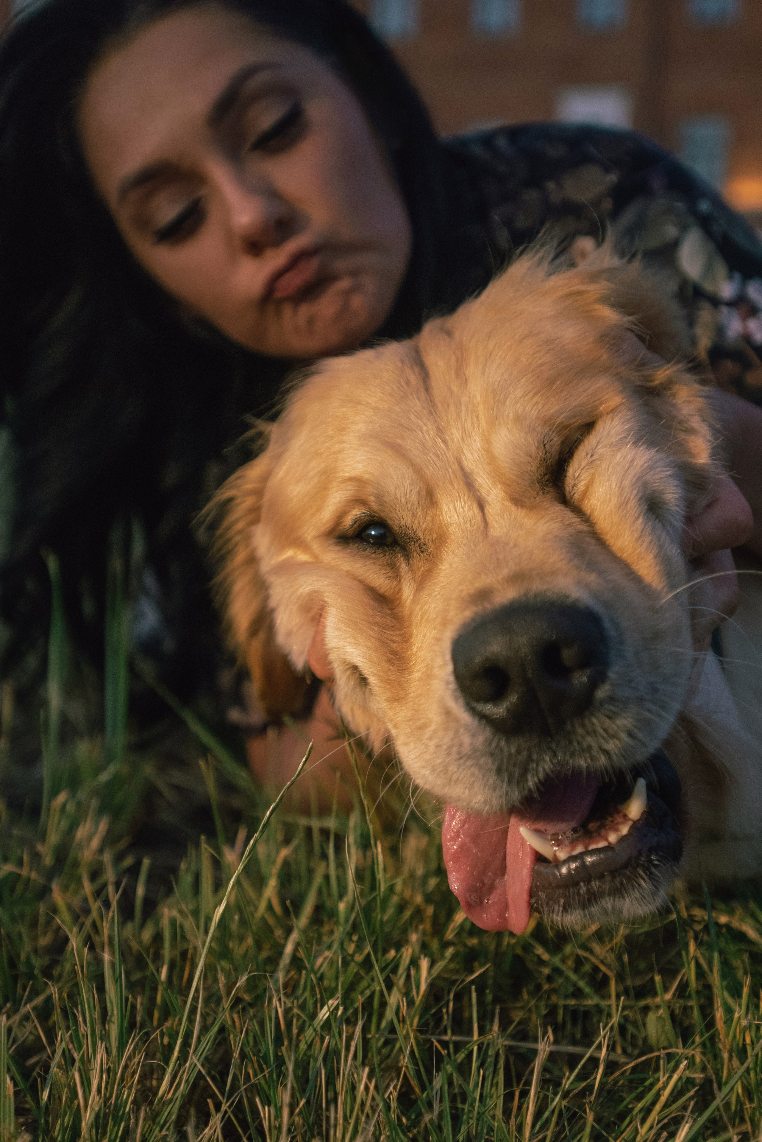 Светлана и Чарли в Нижнем Новгороде. Фотограф Анна Тюрина
