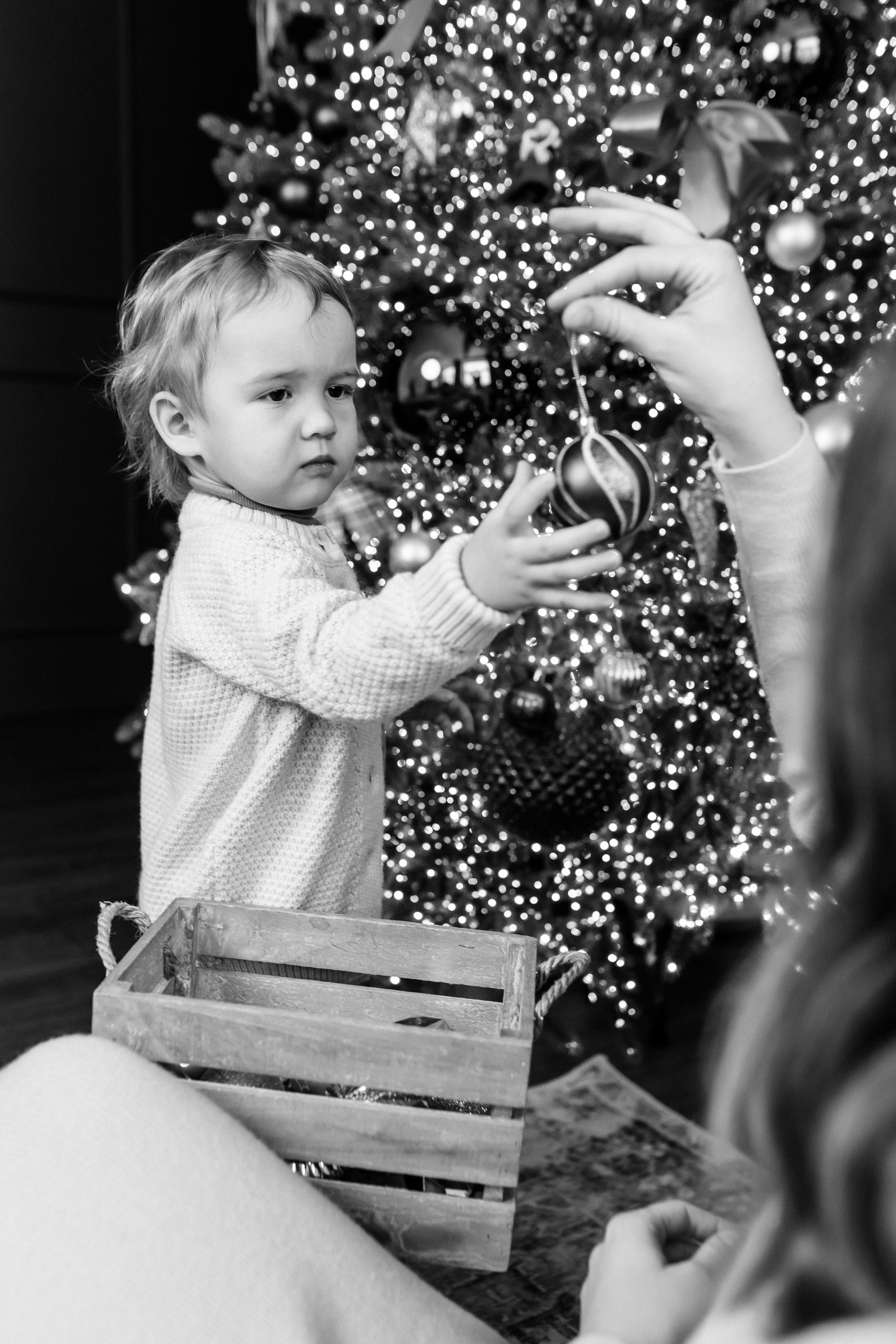 Семейная сьемка, студия!. Профессиональный фотограф, Москва |Видное Елена Елизарова