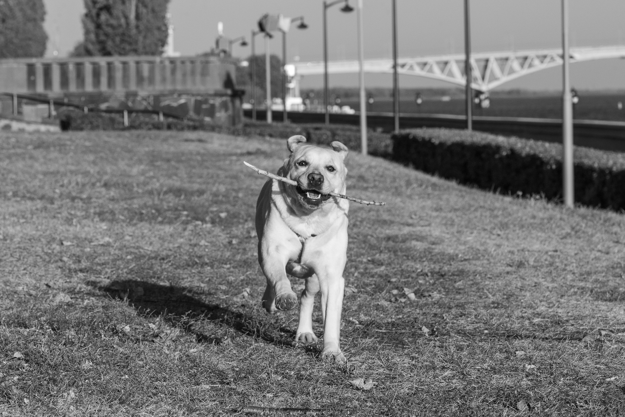 Анастасия. Фотограф Саратов Юлия Петрова