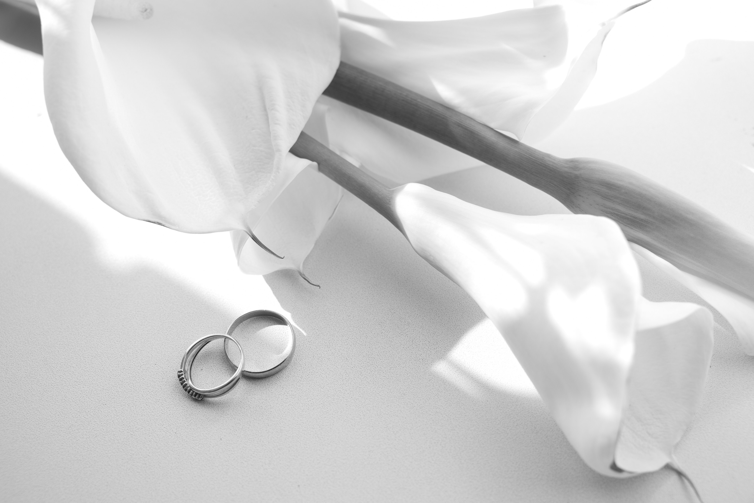 Дарья. Главная