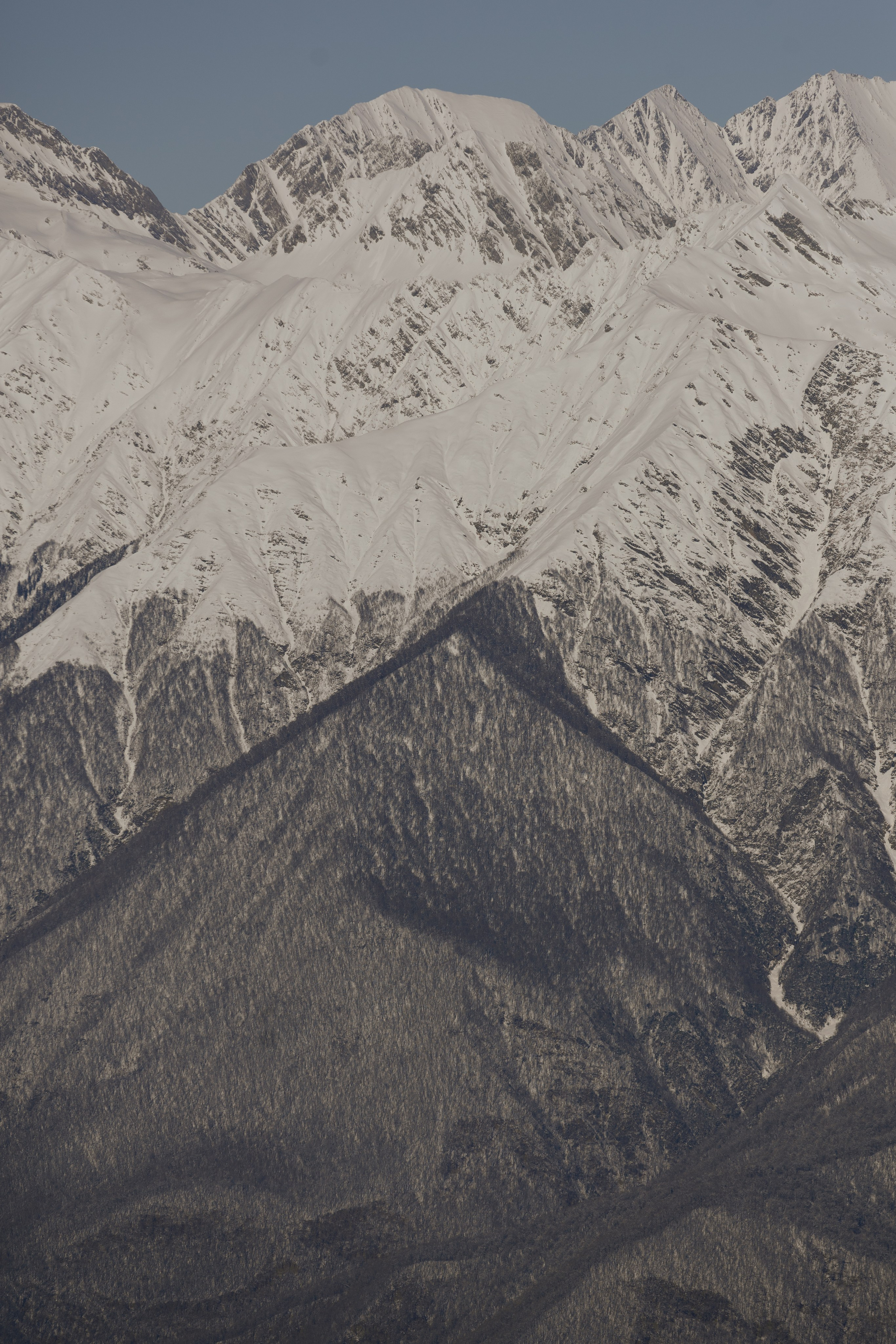 WS. @dariazphoto свадебный фотограф