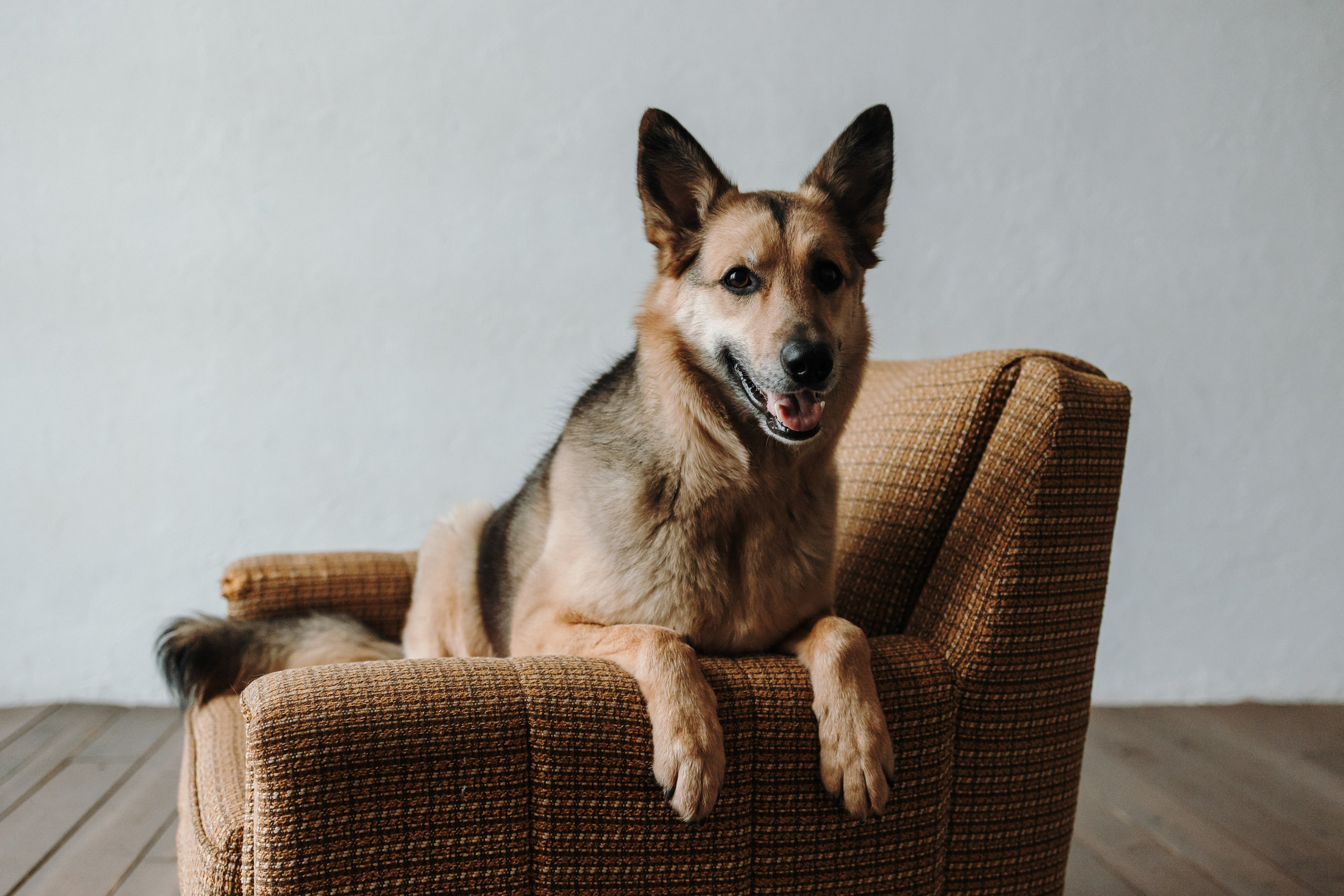 Лена и Дёма. Фотограф — Анималист | Санкт-Петербург