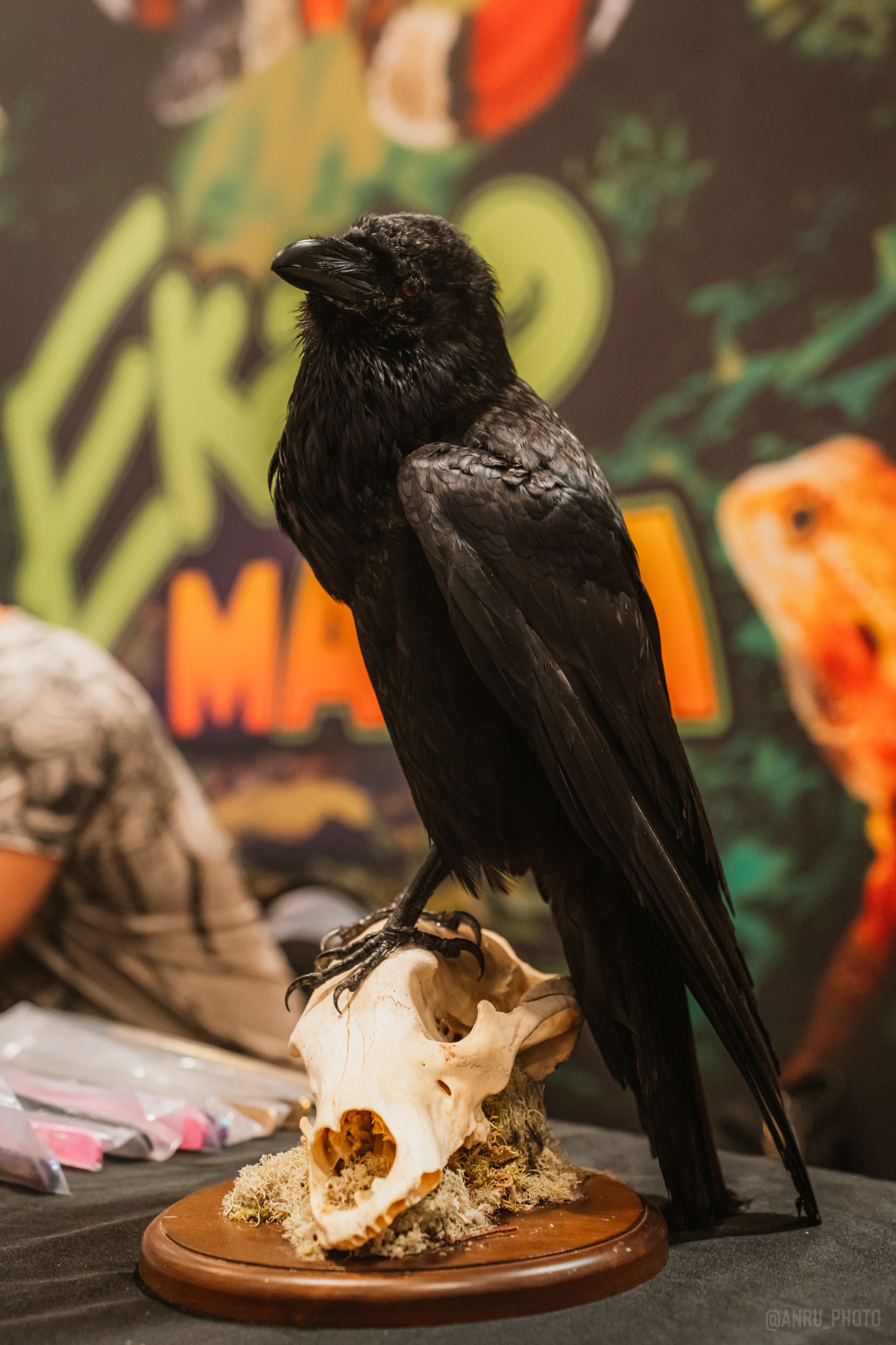 Рептилиум (ручная работа). Репортажный фотограф Анастасия Рубцова