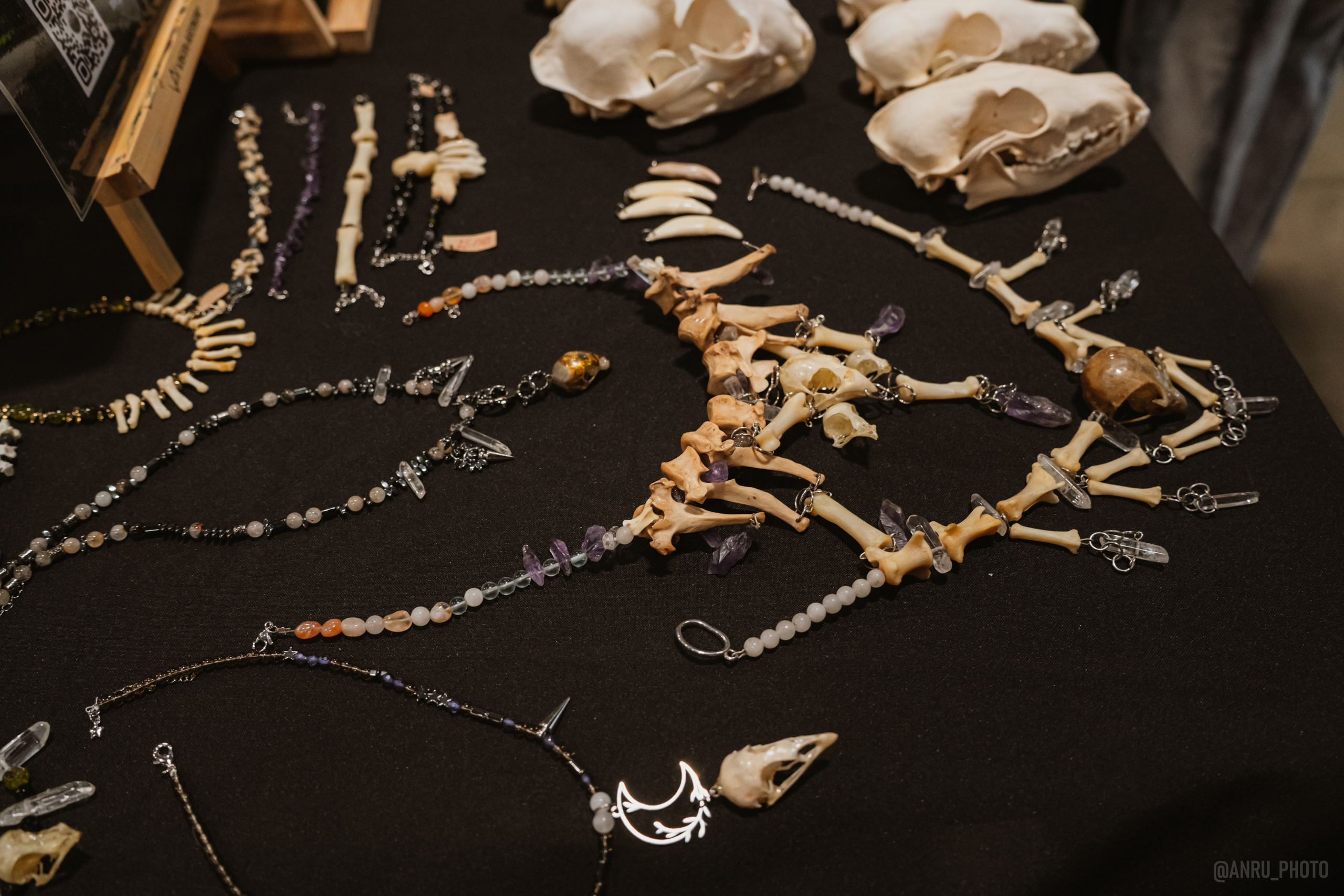 Рептилиум (ручная работа). Репортажный фотограф Анастасия Рубцова