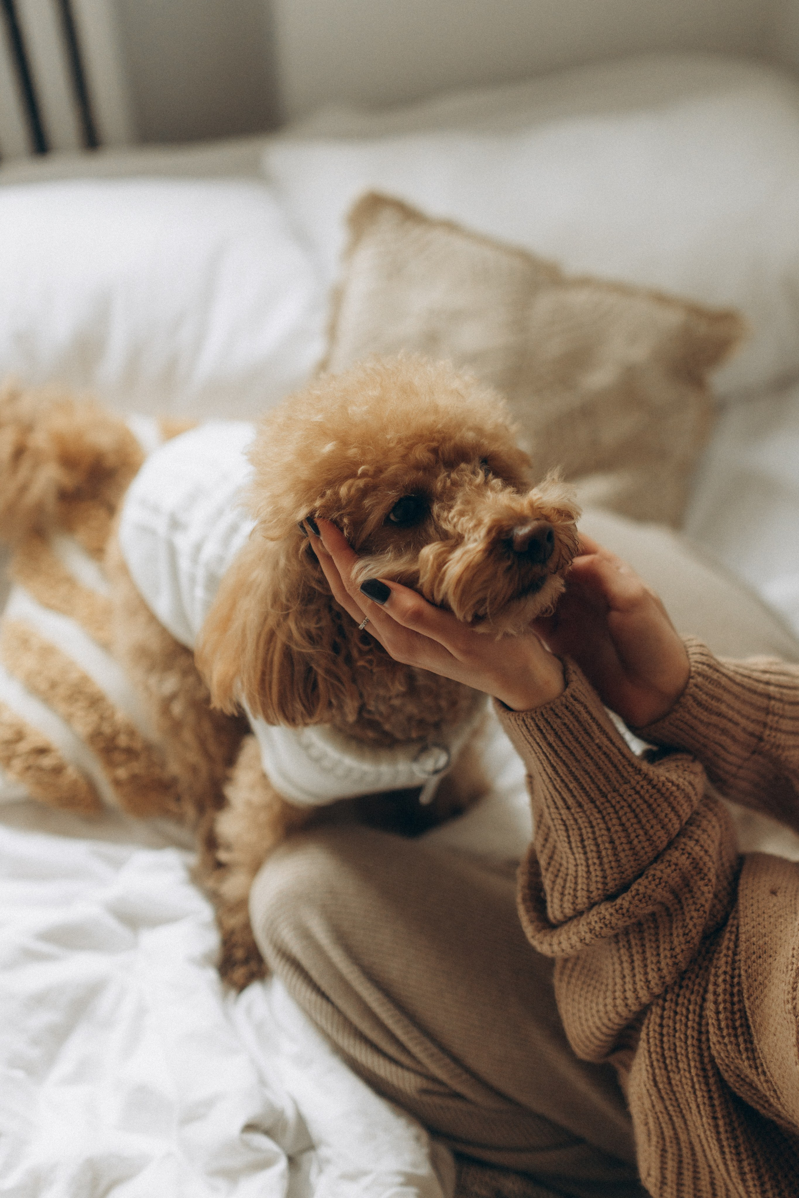 Маша, Ваня & Барни. Фотограф НОГИНСК, Москва, Анастасия Белая