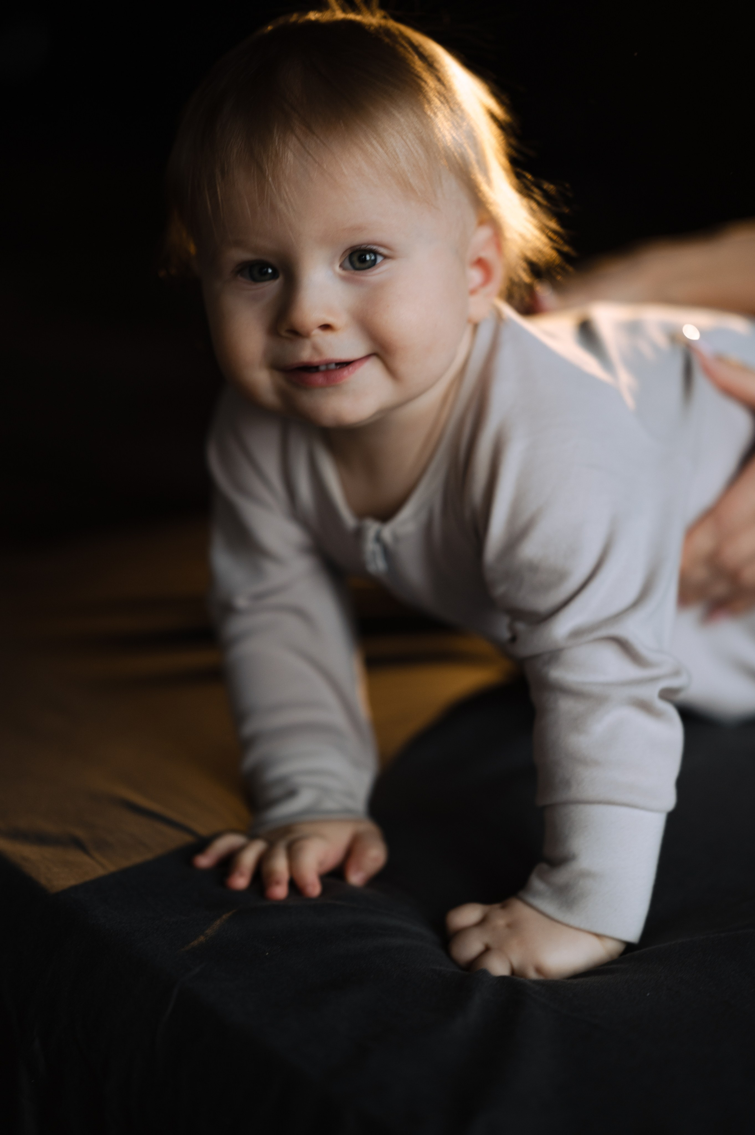 Лев, фотостудия Истории. Фотограф Красноярск Екатерина Карпеза