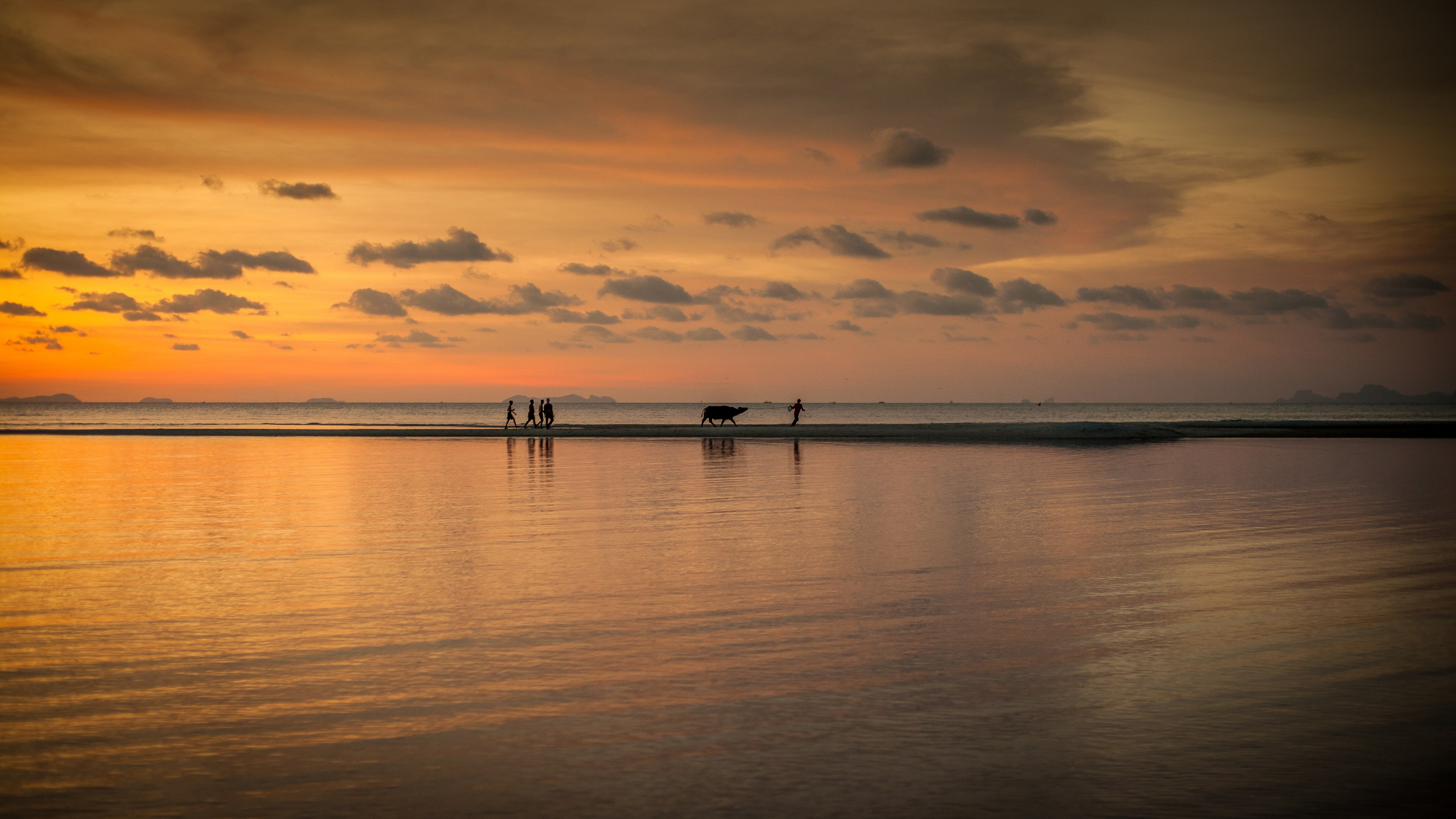 Пейзажное фото. Ню Фотограф Александр Касымов Москва, фотосессии, Химки фотограф