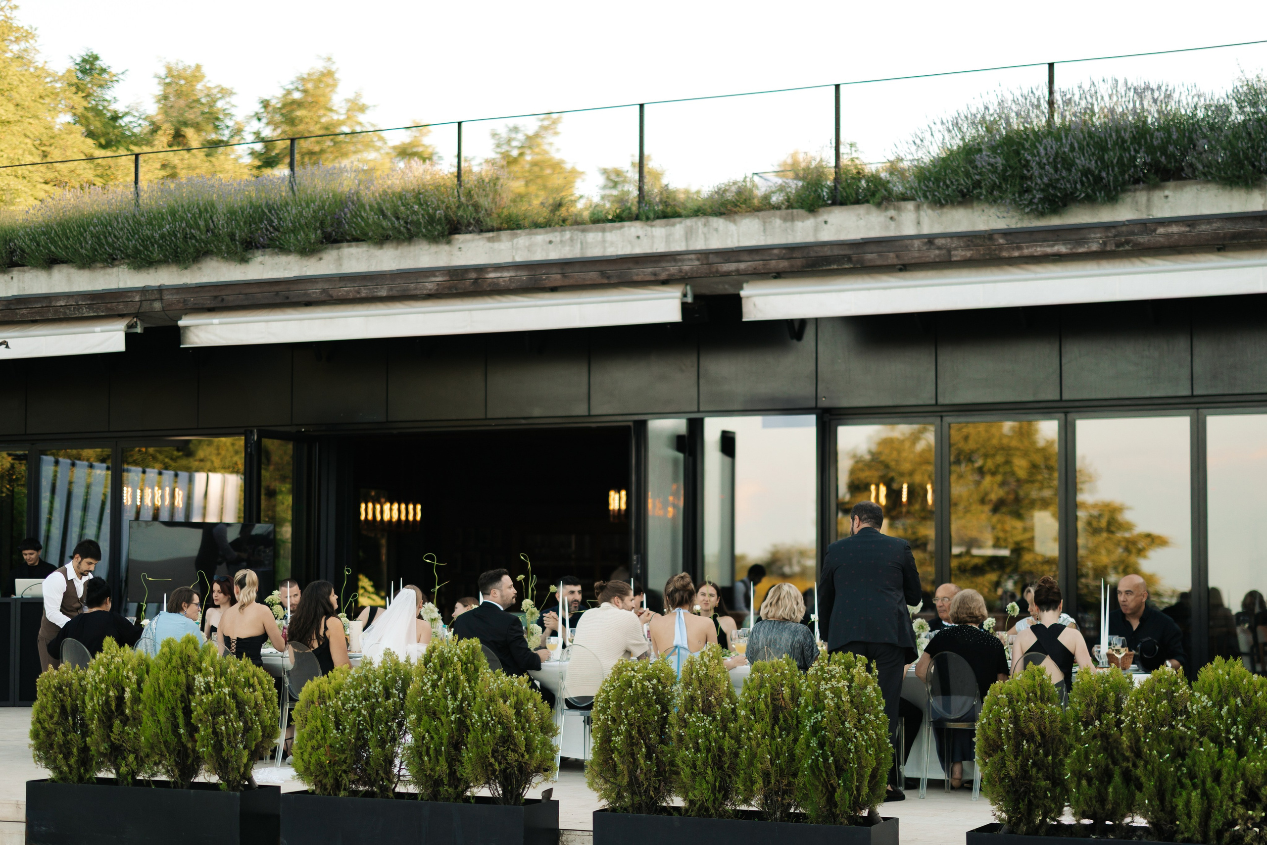 Для конкурса. Свадебный фотограф Москва Мотеюнайте Виктория