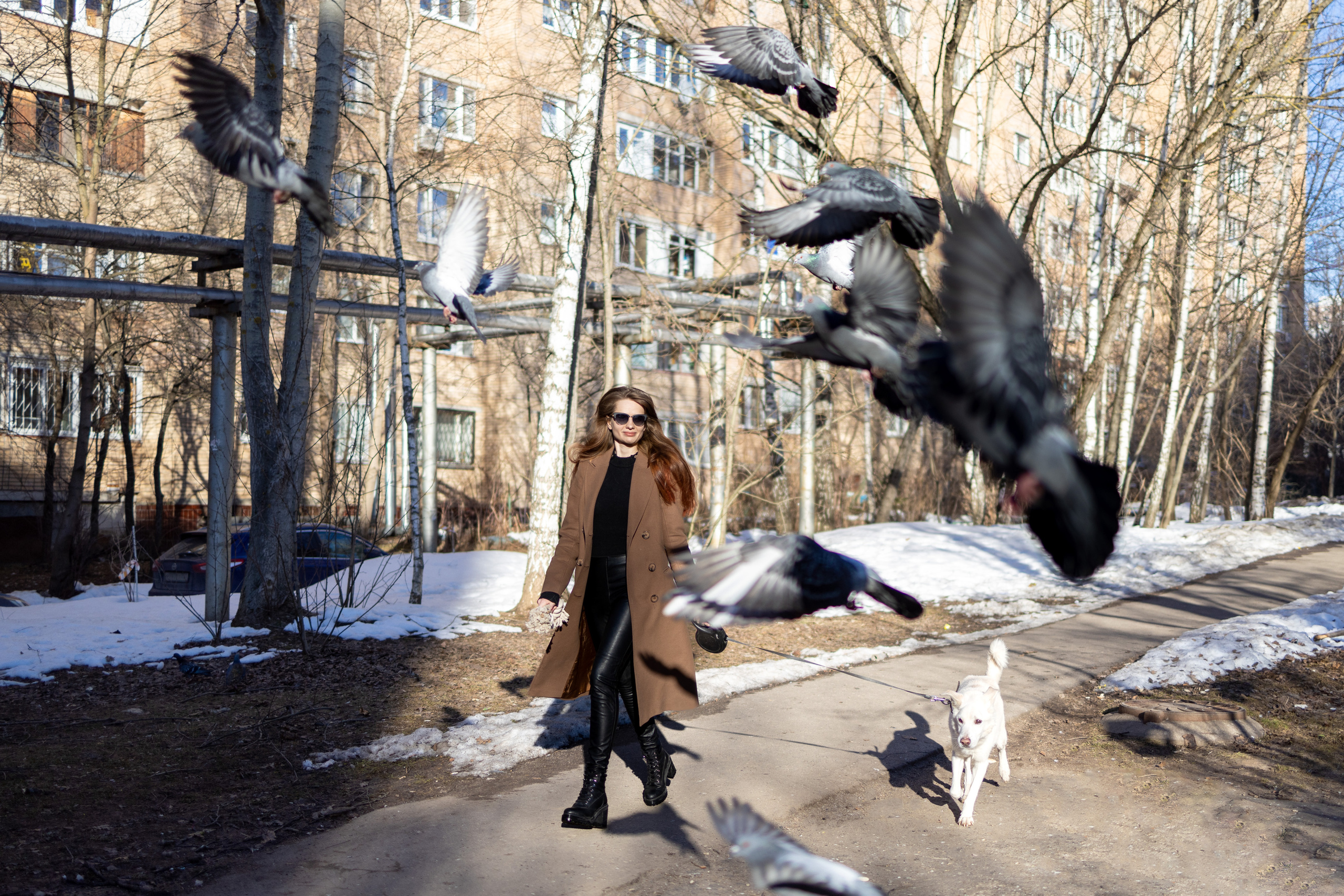 Алёна и Белик. Репортажный и студийный фотограф в Москве — Софи