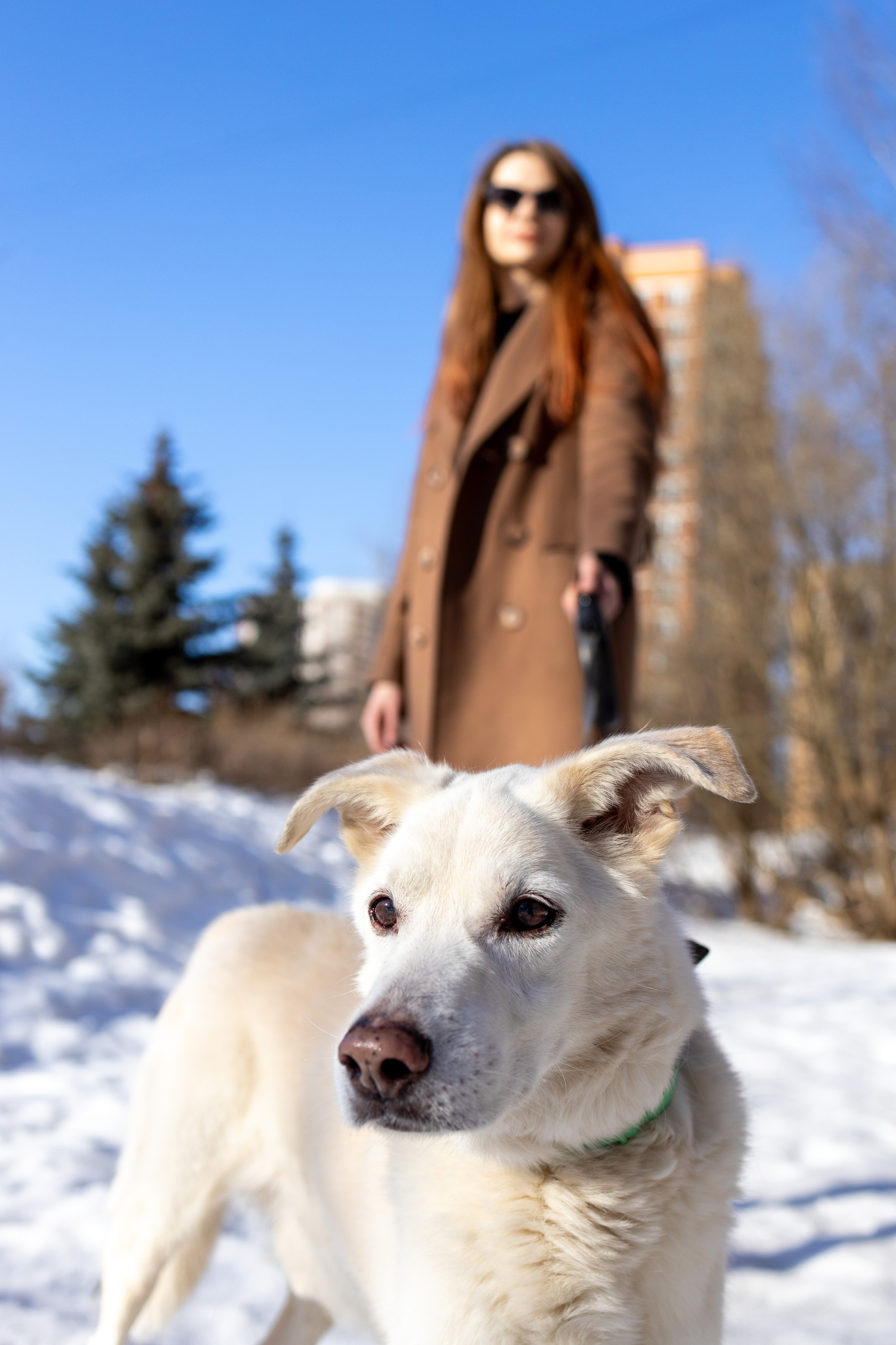 Алёна и Белик. Репортажный и студийный фотограф в Москве — Софи