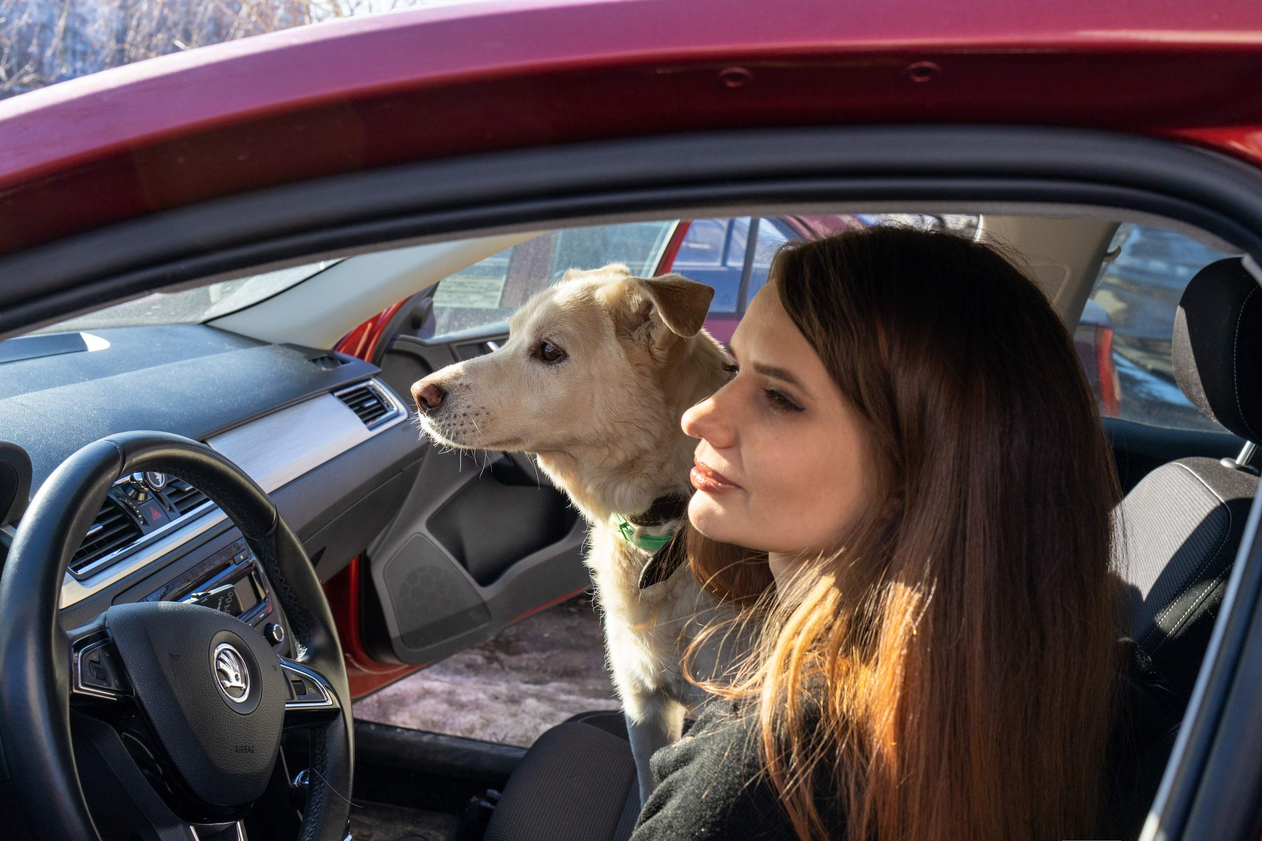 Алёна и Белик. Репортажный и студийный фотограф в Москве — Софи