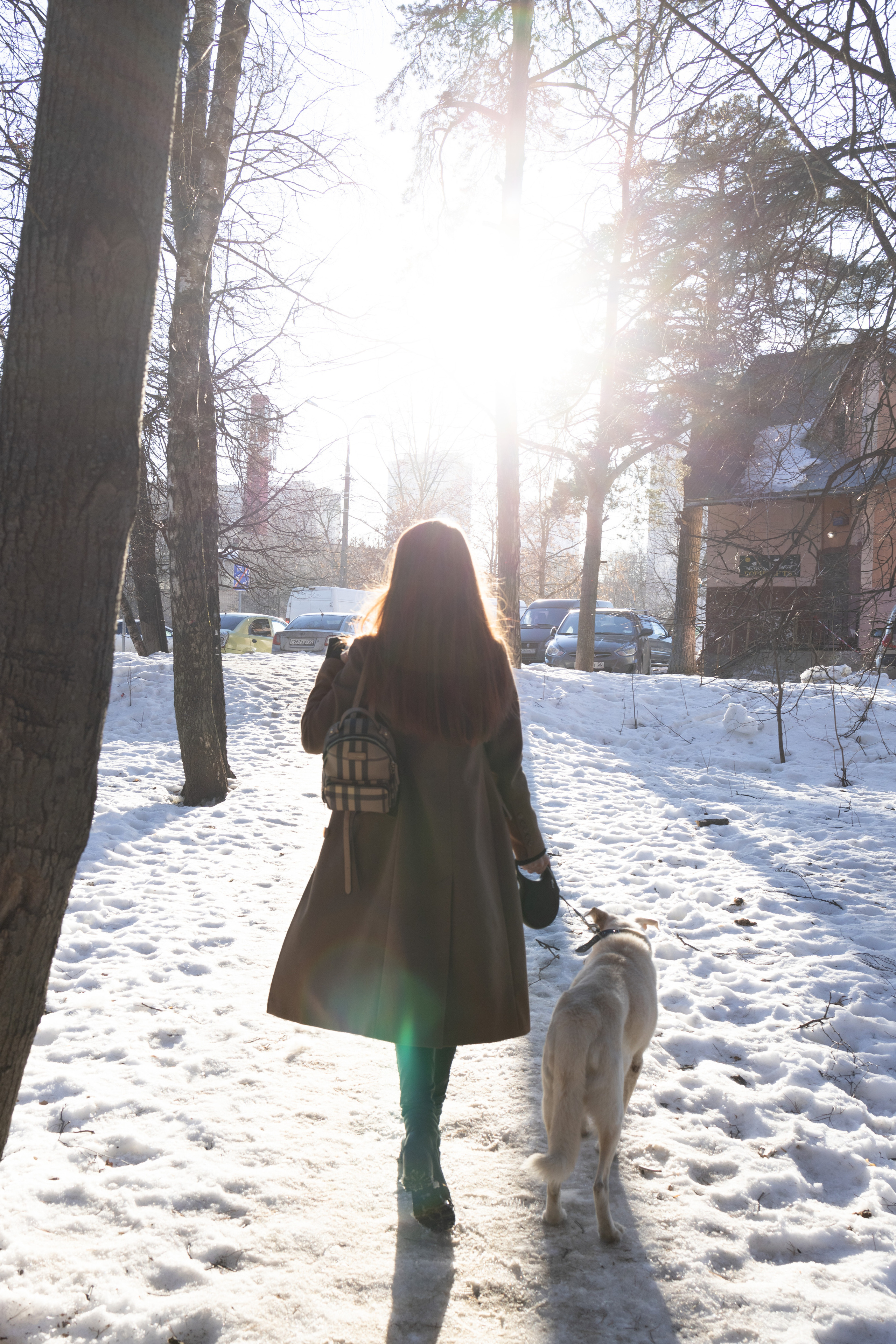 Алёна и Белик. Репортажный и студийный фотограф в Москве — Софи