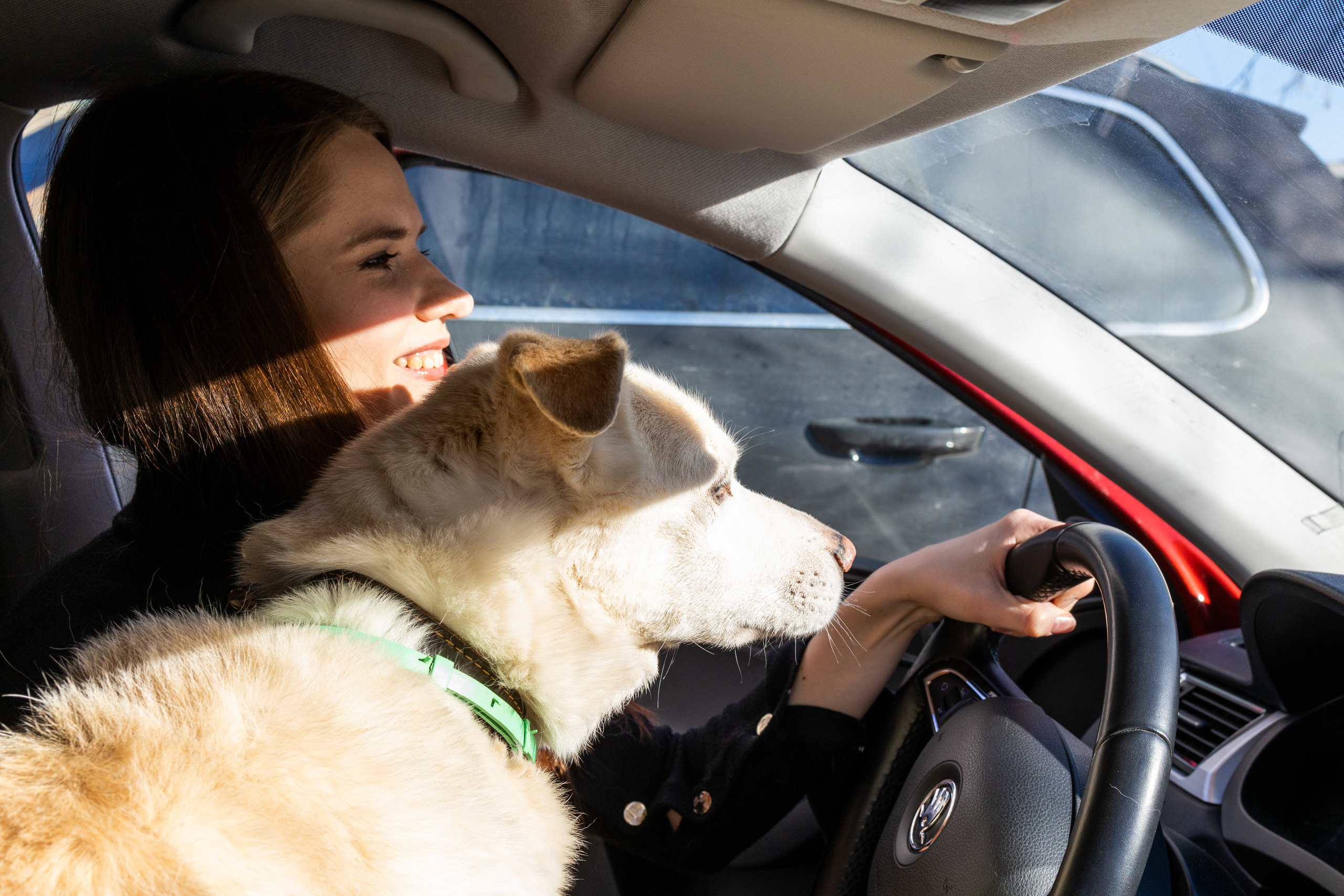 Алёна и Белик. Репортажный и студийный фотограф в Москве — Софи