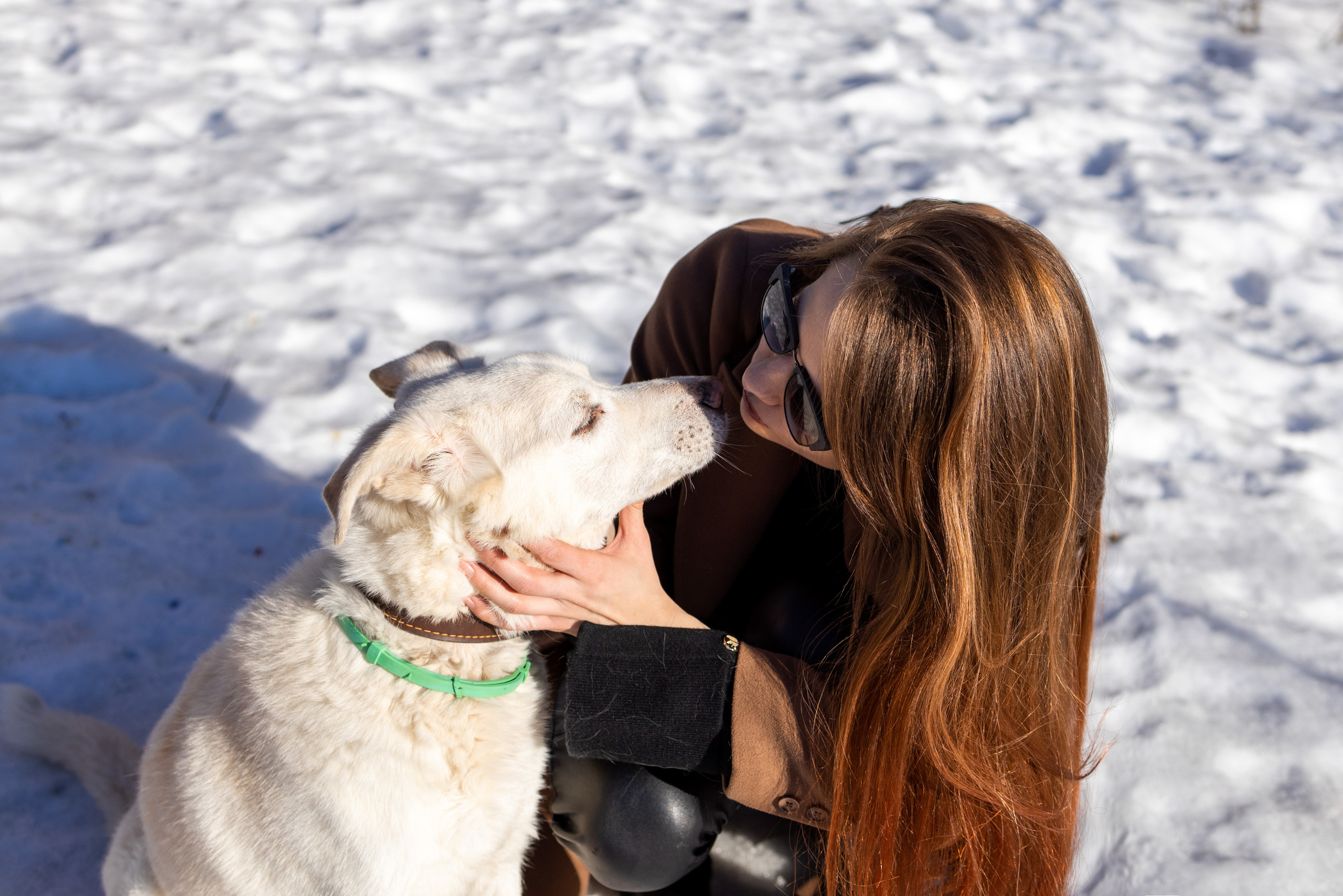 Алёна и Белик. Репортажный и студийный фотограф в Москве — Софи