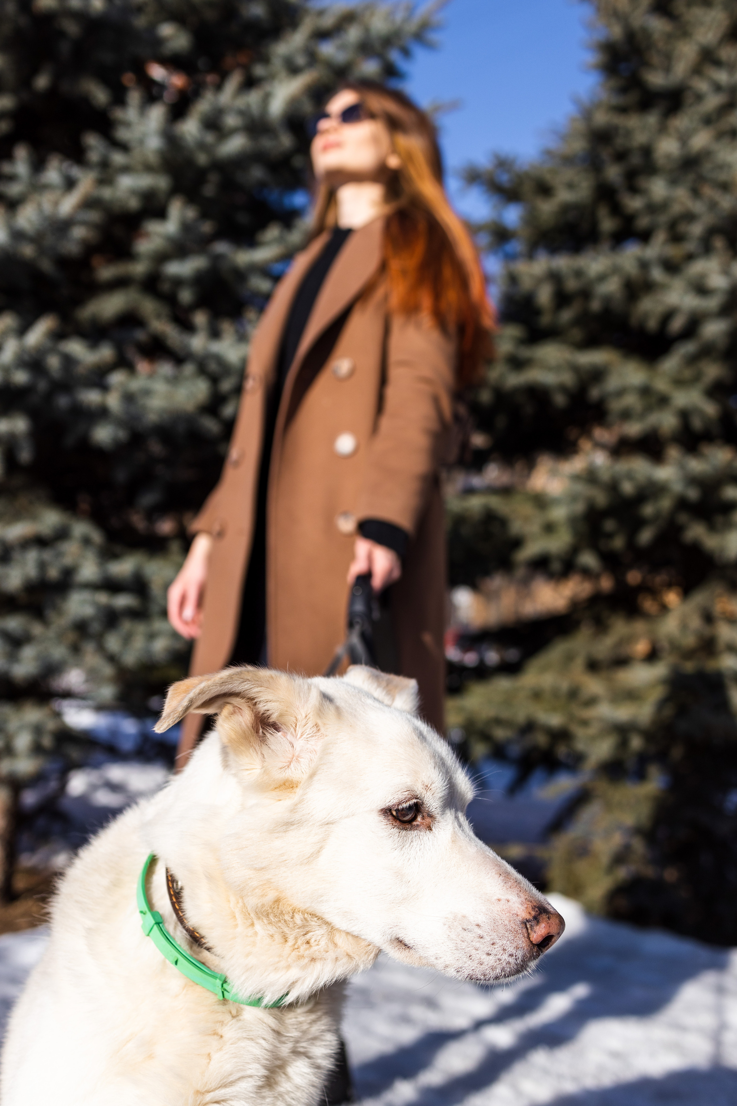 Алёна и Белик. Репортажный и студийный фотограф в Москве — Софи