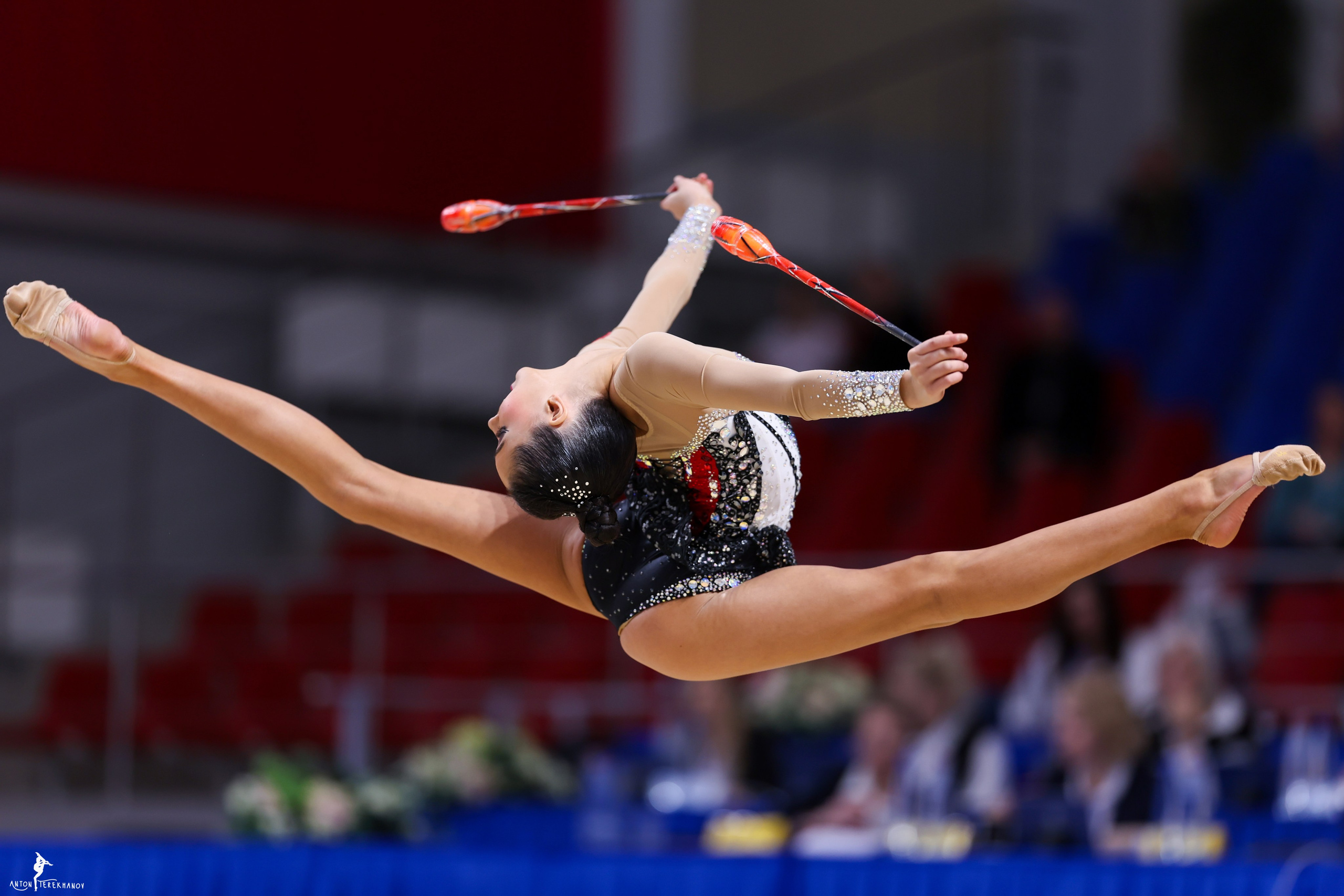 Чемпионат Санкт-Петербурга 2025. Спортивный и репортажный фотограф Антон Тереханов