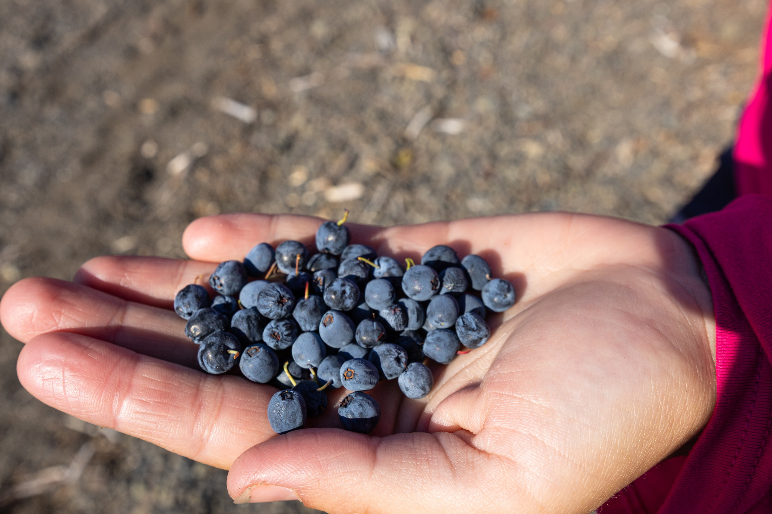 Плато Путорана. Mara Art Foto | Фотограф в Москве и Нижнем Новгороде