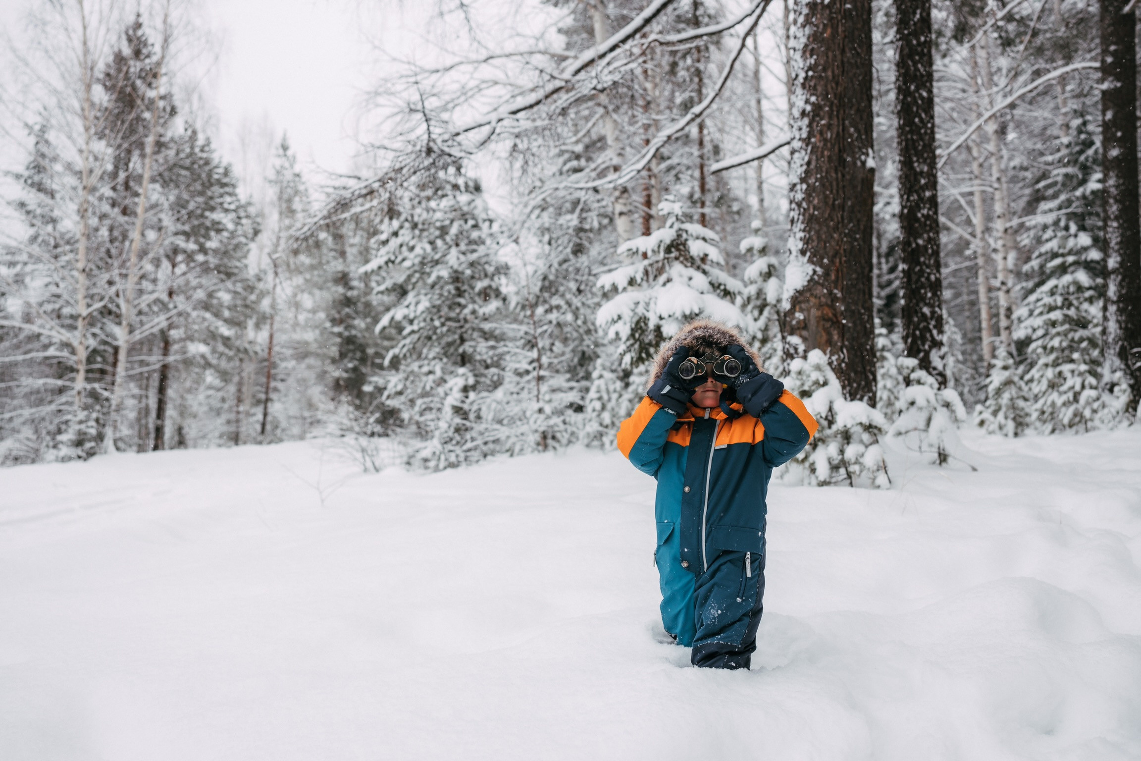 Лесная история. Свадебный и семейный фотограф Анна Печенкина