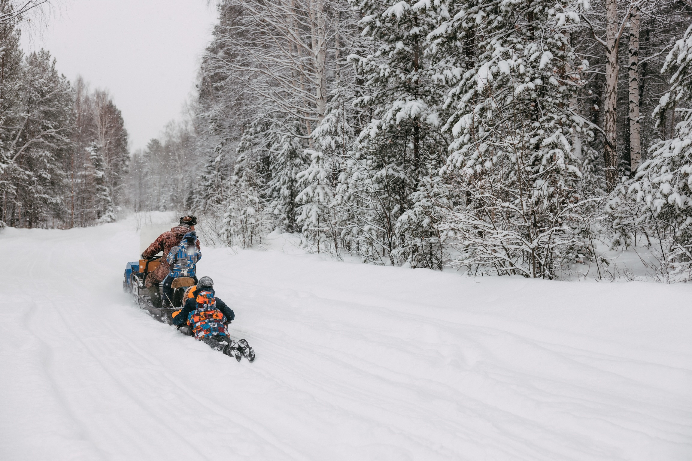 Лесная история. Свадебный и семейный фотограф Анна Печенкина