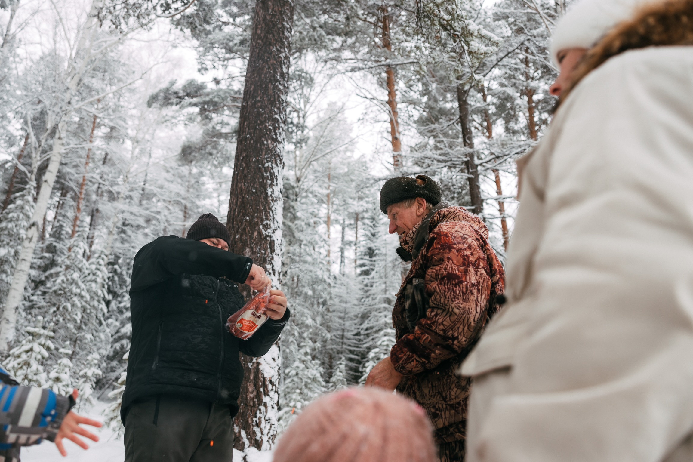 Лесная история. Свадебный и семейный фотограф Анна Печенкина