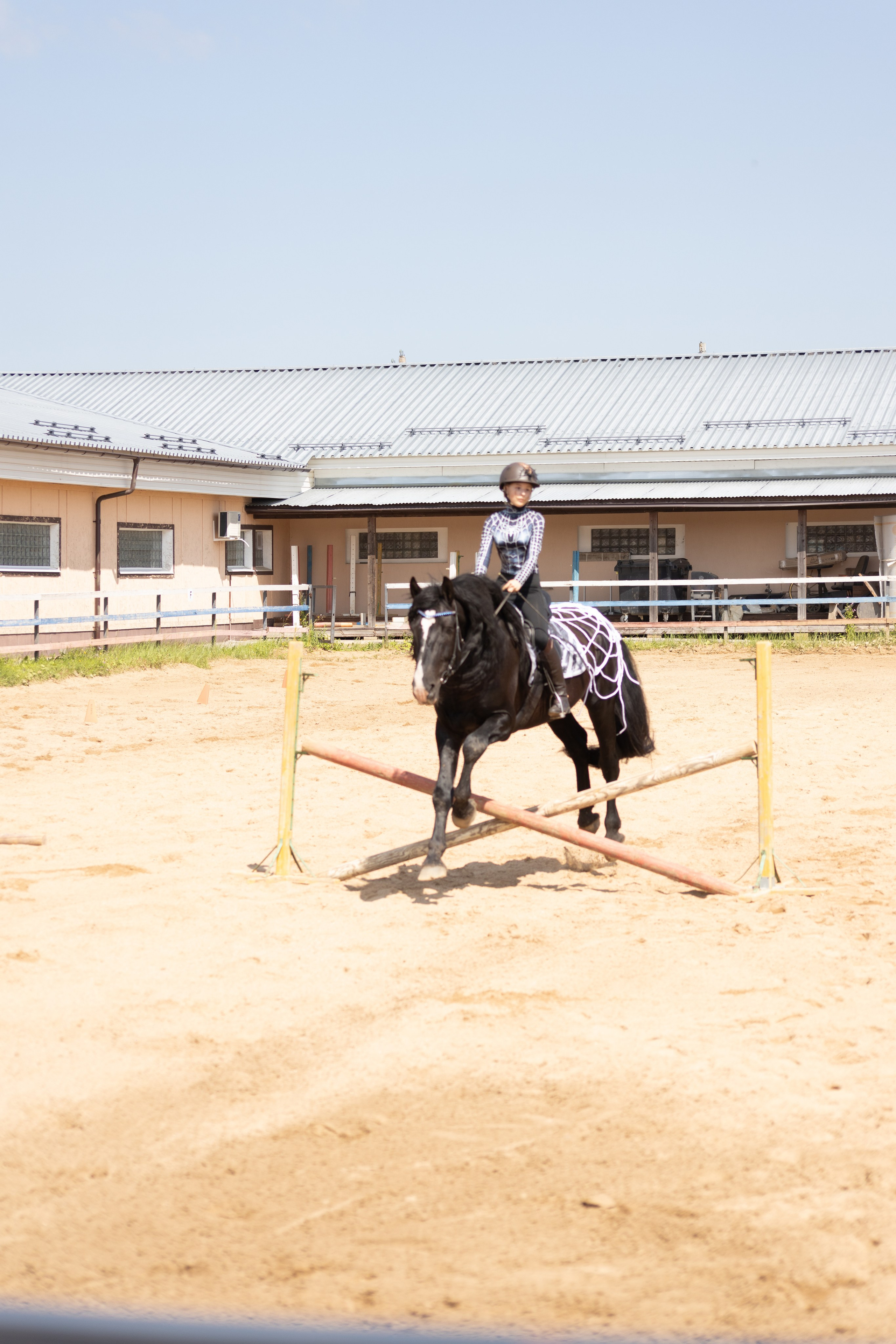 Конюшня. Фотограф в Москве и Истре