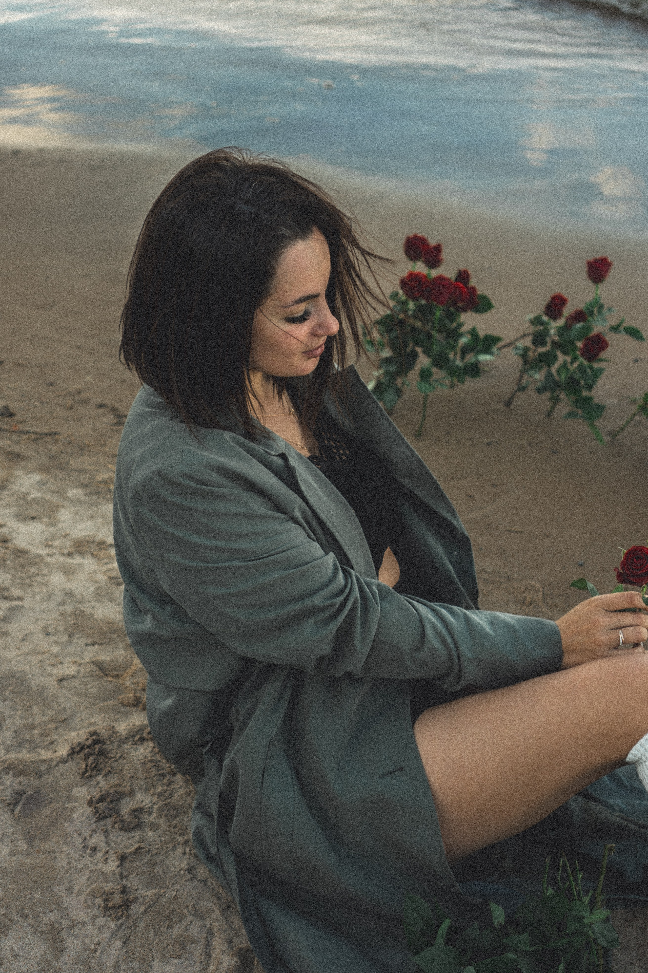 Розы. Профессиональный фотограф, Санкт-Петербург — Виктория Богомолова