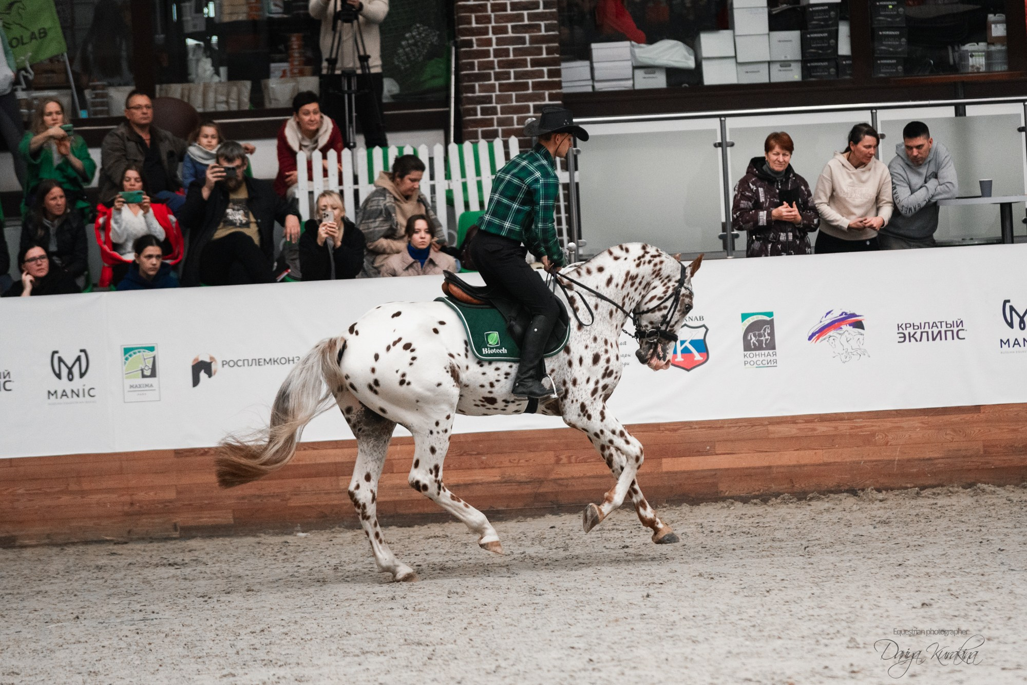 8-я международная выставка Конная Россия. Конный фотограф Куракина Дарья • Фотосессии с лошадьми