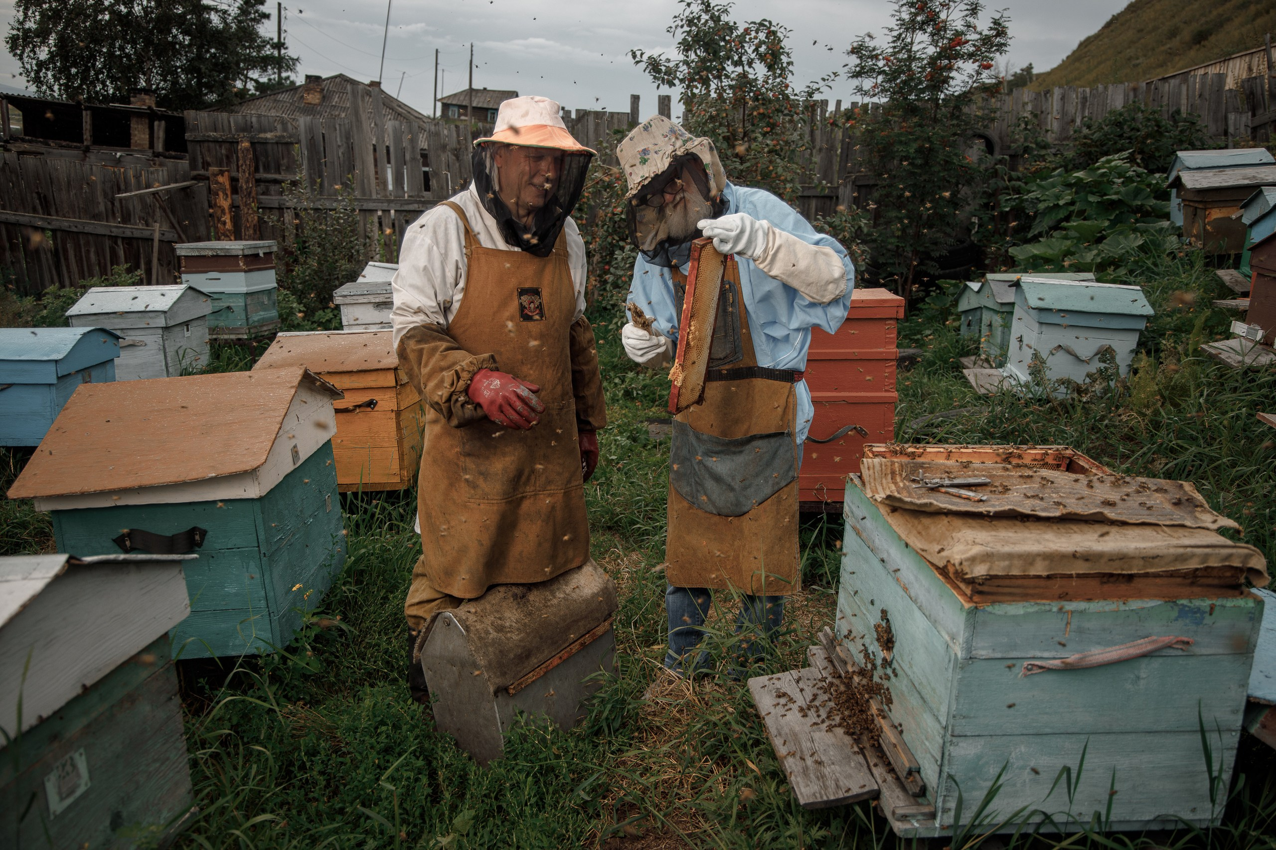 Верность делу. Фотограф в Красноярске Нерозя Александр. Пейзаж, природа, портрет