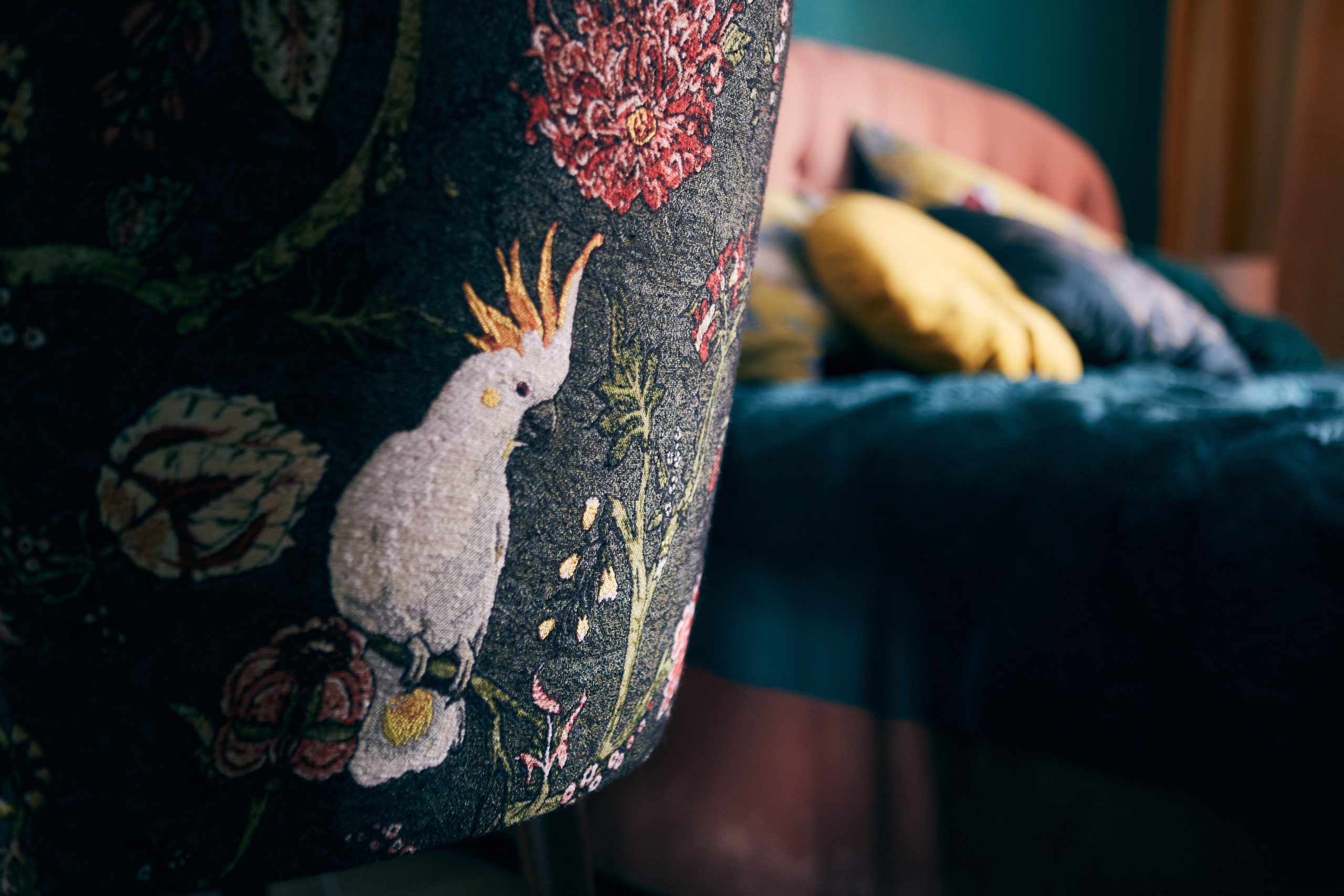 Nastya. Portrait, family and pet photographer in Cyprus, Ksenia Bourdelle