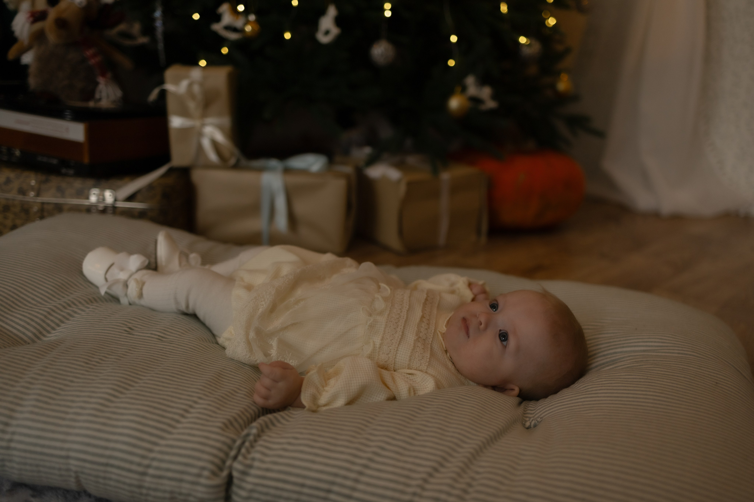 Семейная новогодняя. Фотограф Татьяна Семенова