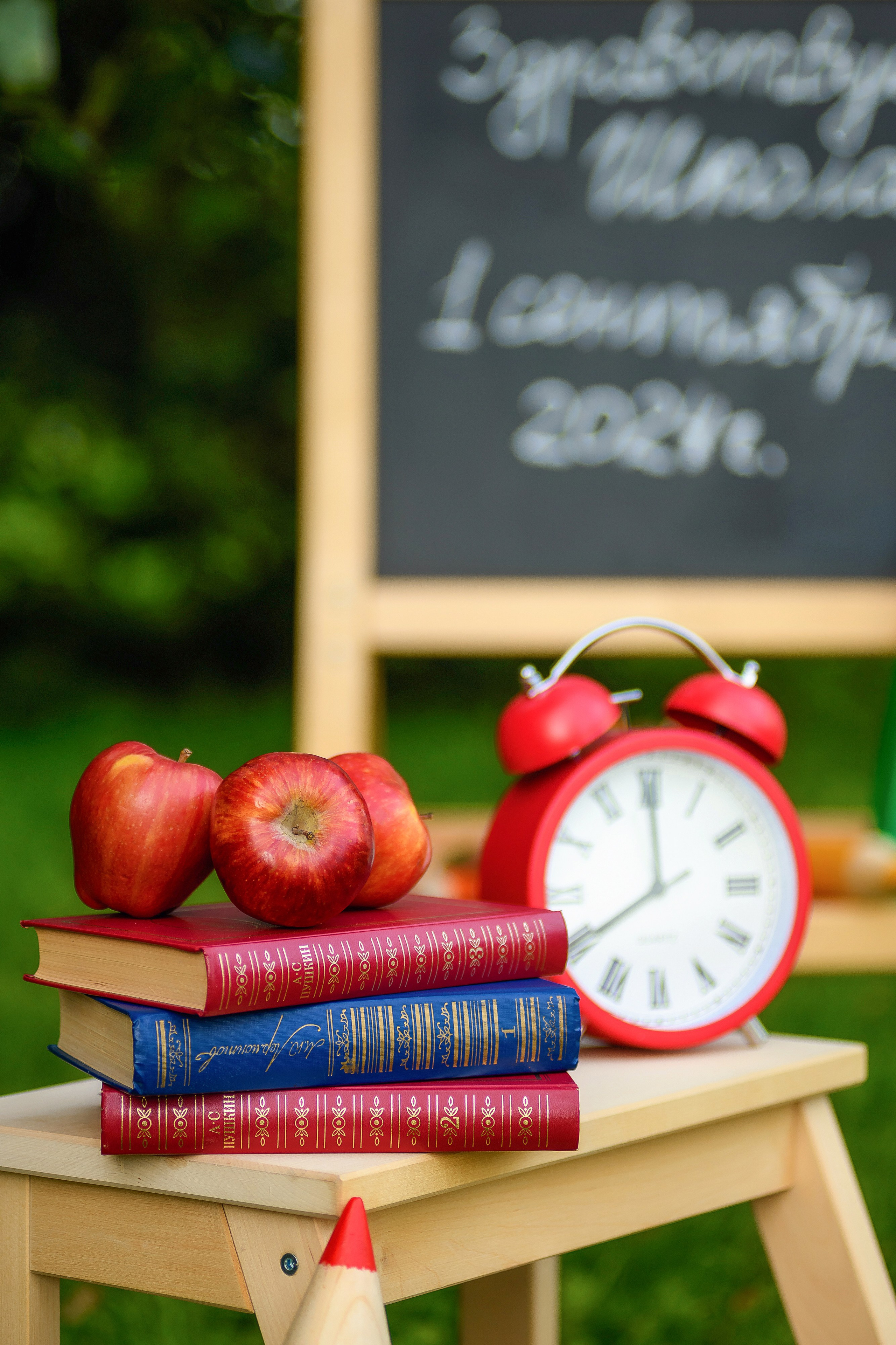 Здравст шк. Школьный фотограф и фотограф в детском саду