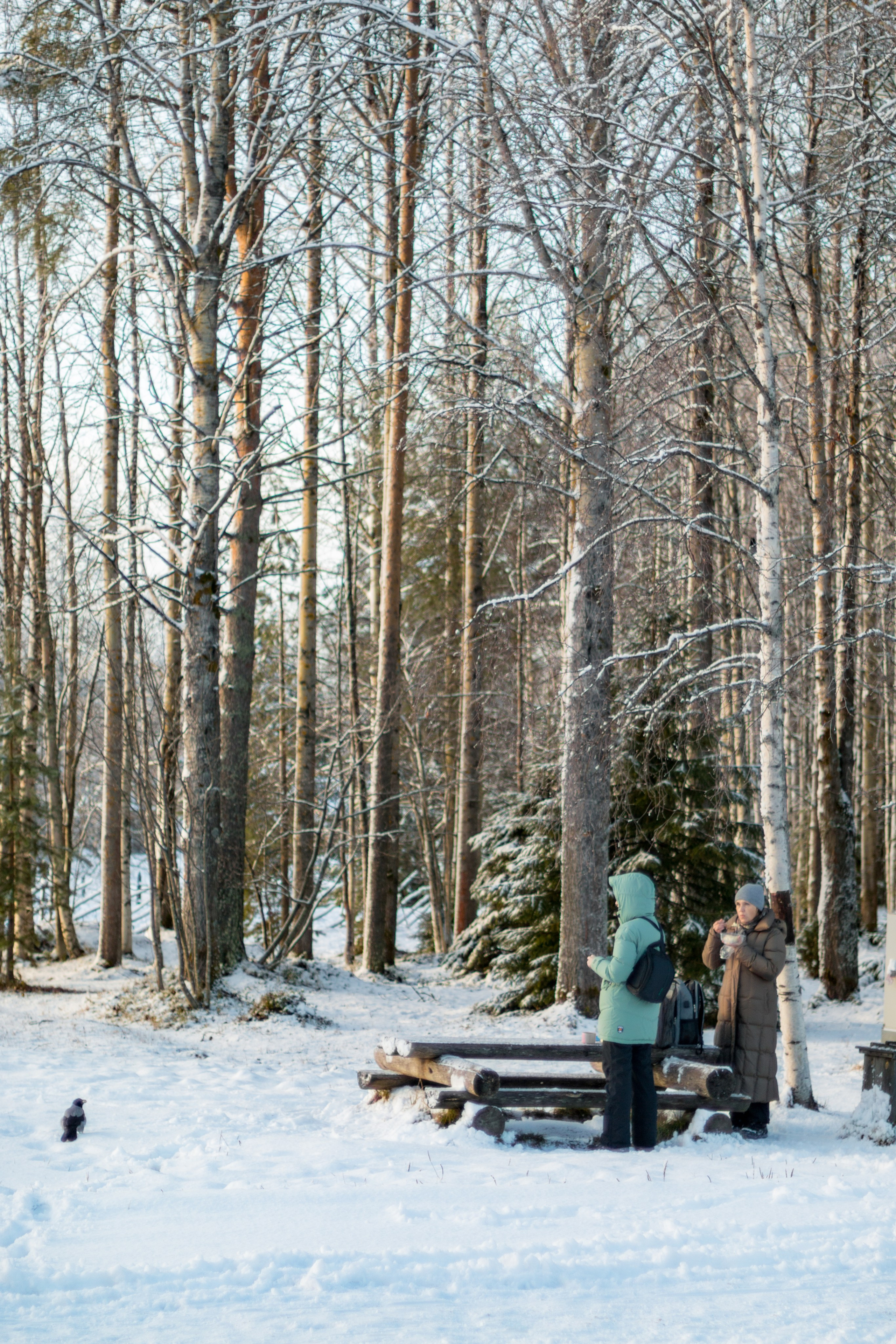Лиза. Фотограф в Сочи
