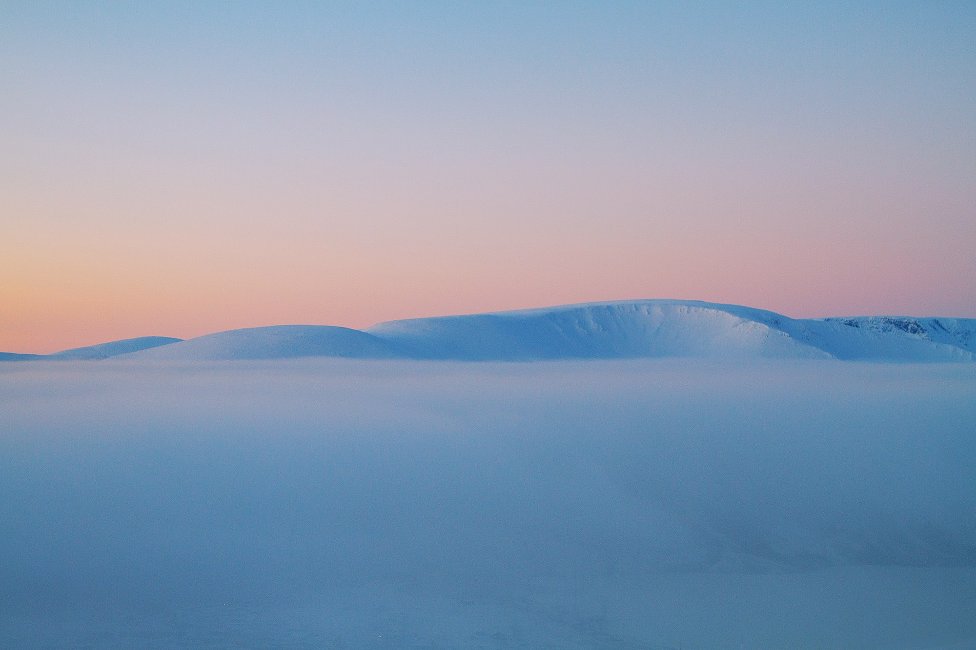 Фотограф Алексей Седойкин