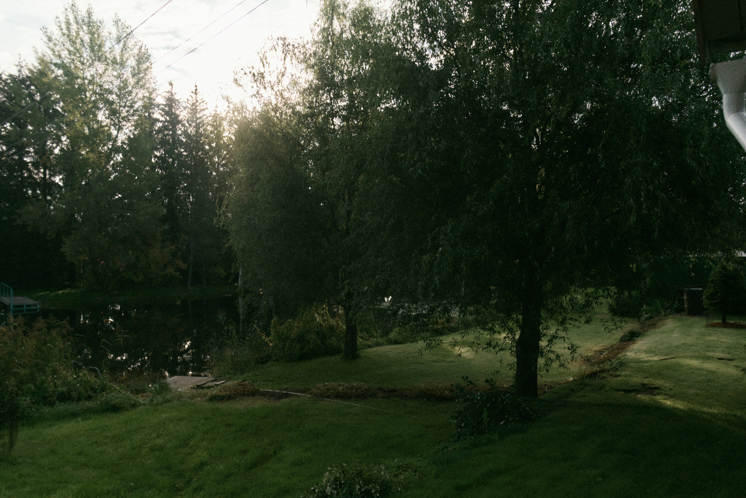 Наблюдения. Семейный фотограф в Новосибирске Артём Кузнецов