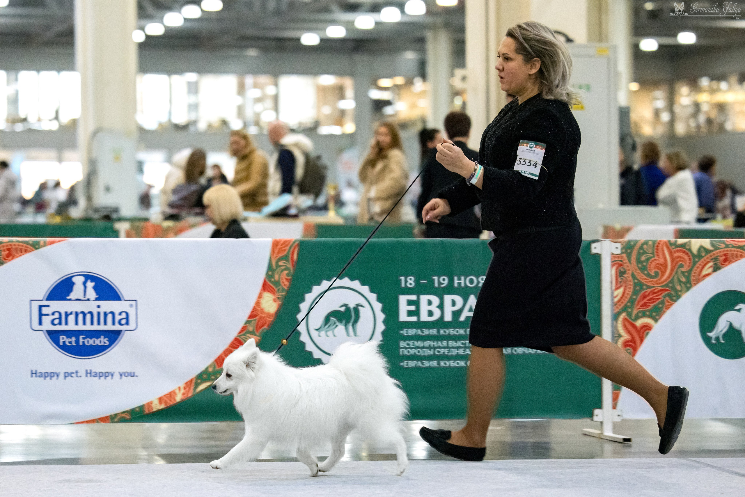 ЕВРАЗИЯ 18-19.11.2023. Фотограф-анималист Юлия Германика