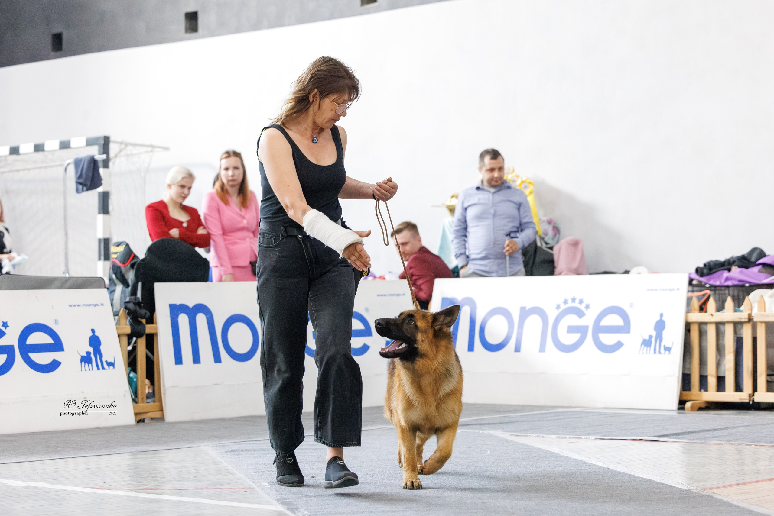 Ереван 2х CACIB 29-30.04.2025. Фотограф-анималист Юлия Германика