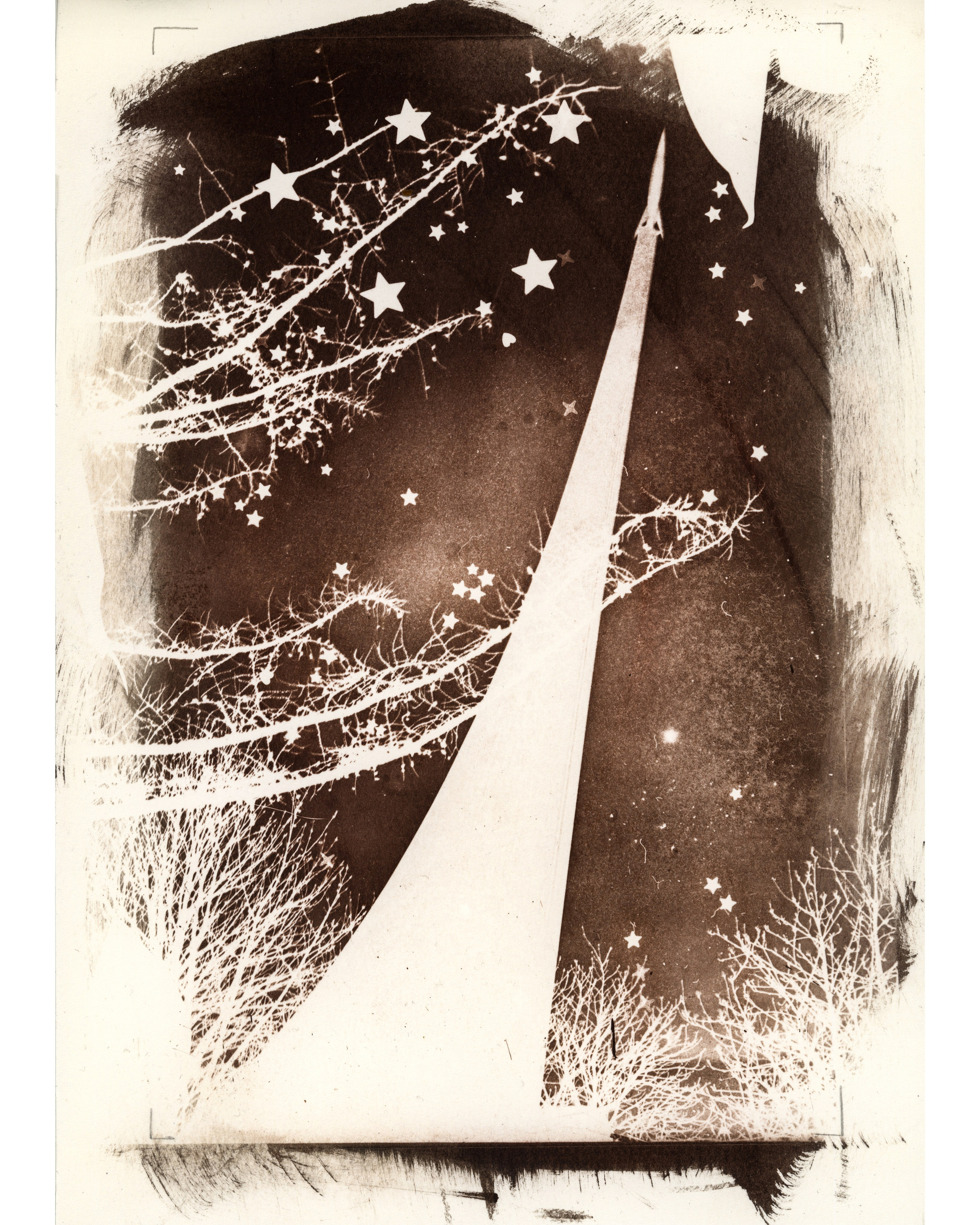 Alternative processes | gumoil | cyanotype | van dyke. Darkroom aesthetics