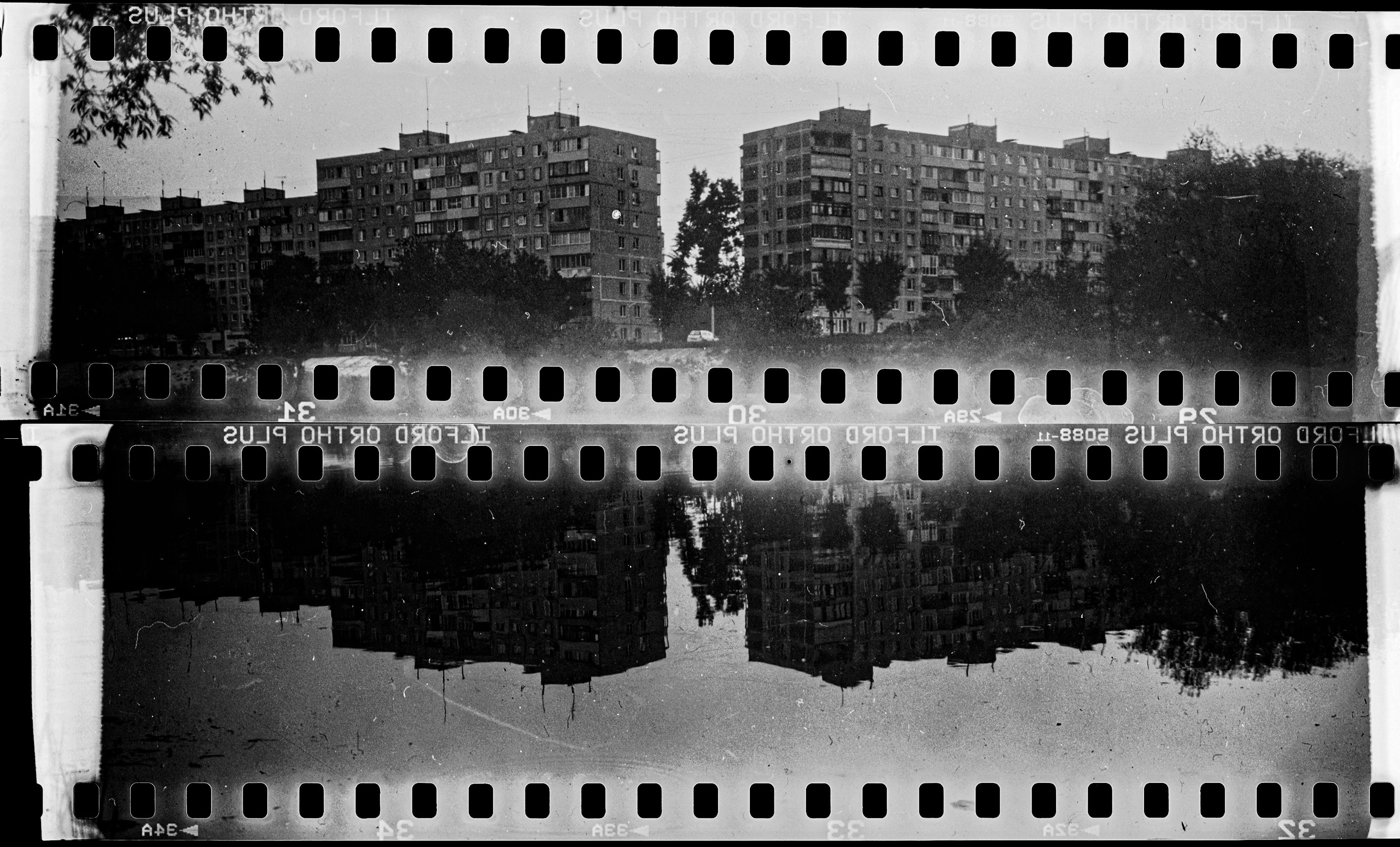 Ilford Ortho