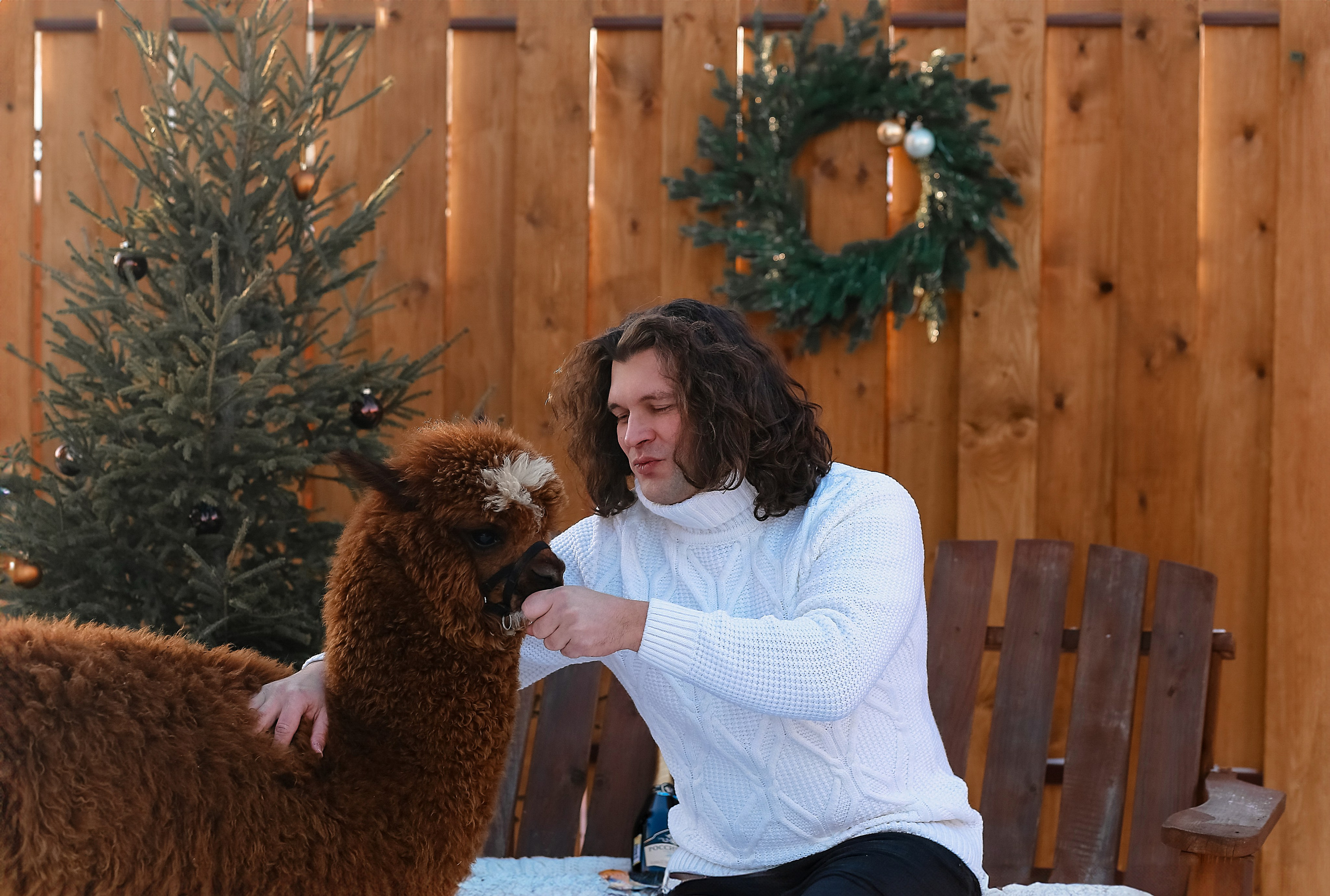 Семейная съемка с Альпакой!. Иванова Ирина Свадебный и семейный фотограф г. Уфа
