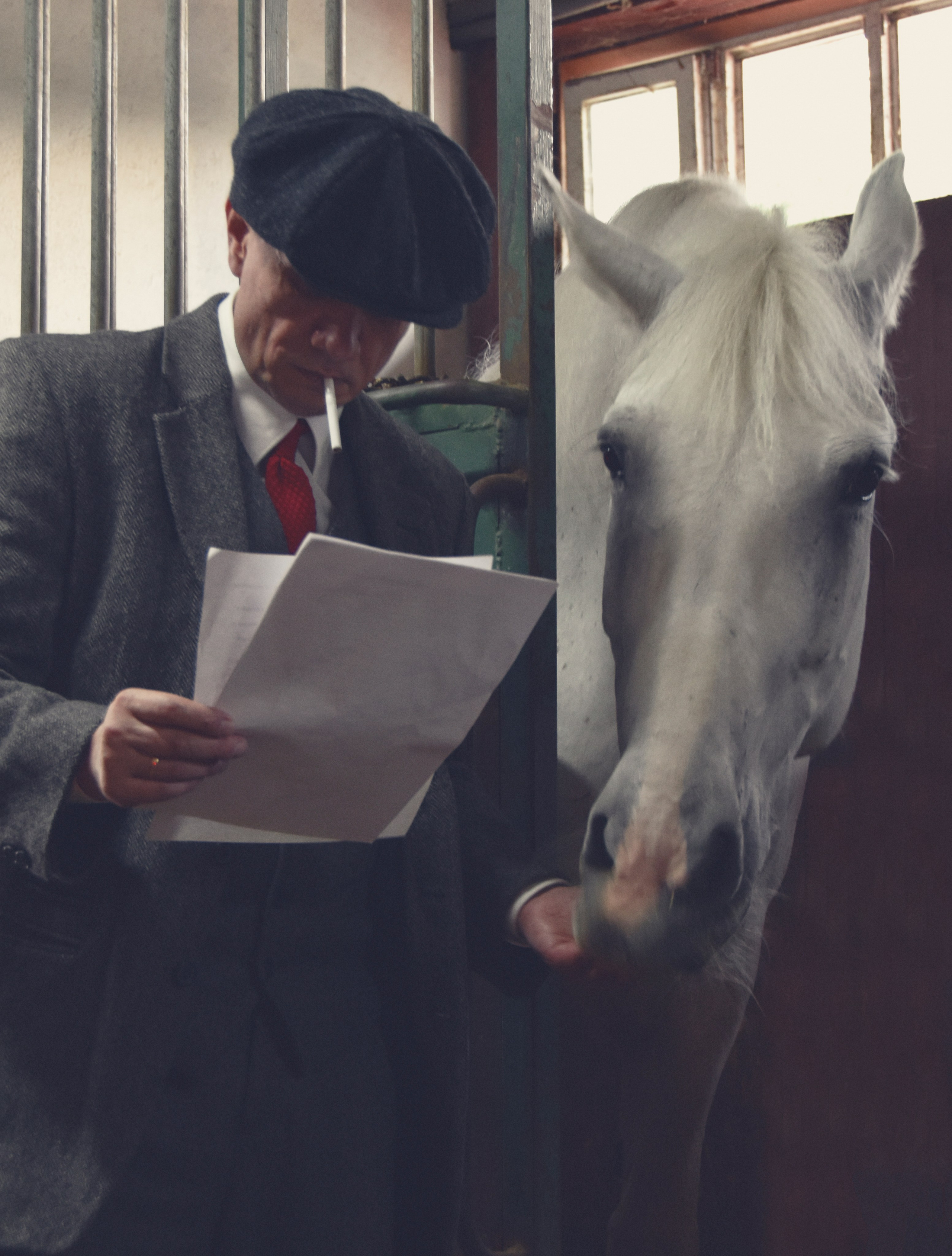 Рафаэль и Султан. Peaky Blinders. Конный фотограф Москва