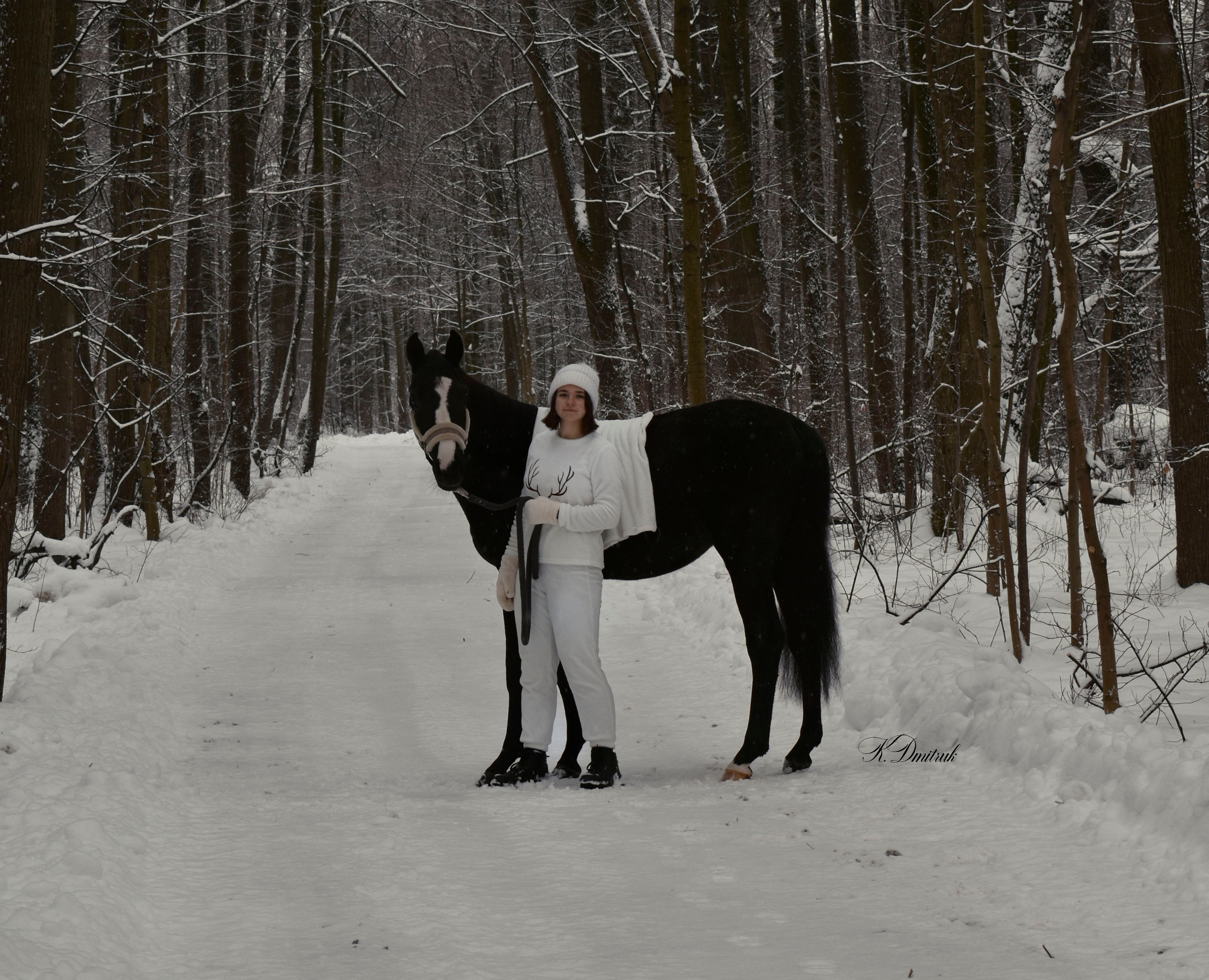 Настя. Зимний сон. Конный фотограф Москва