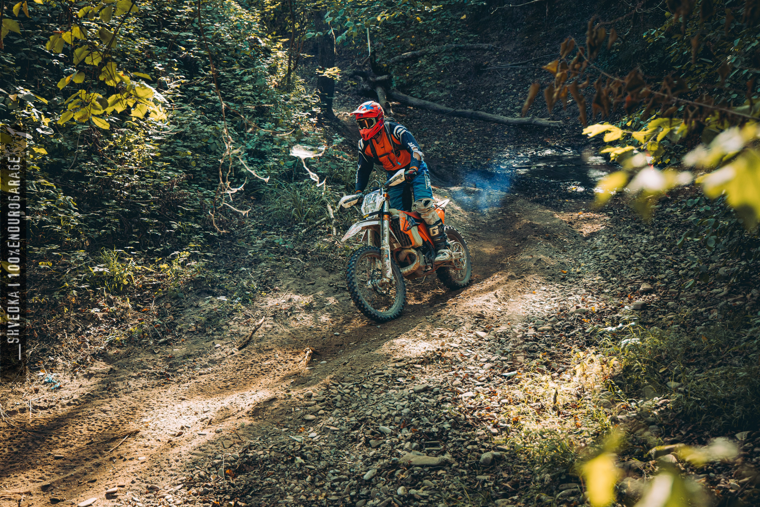 2 лесной день. Ваш экстрим фотограф Кудрева Яна