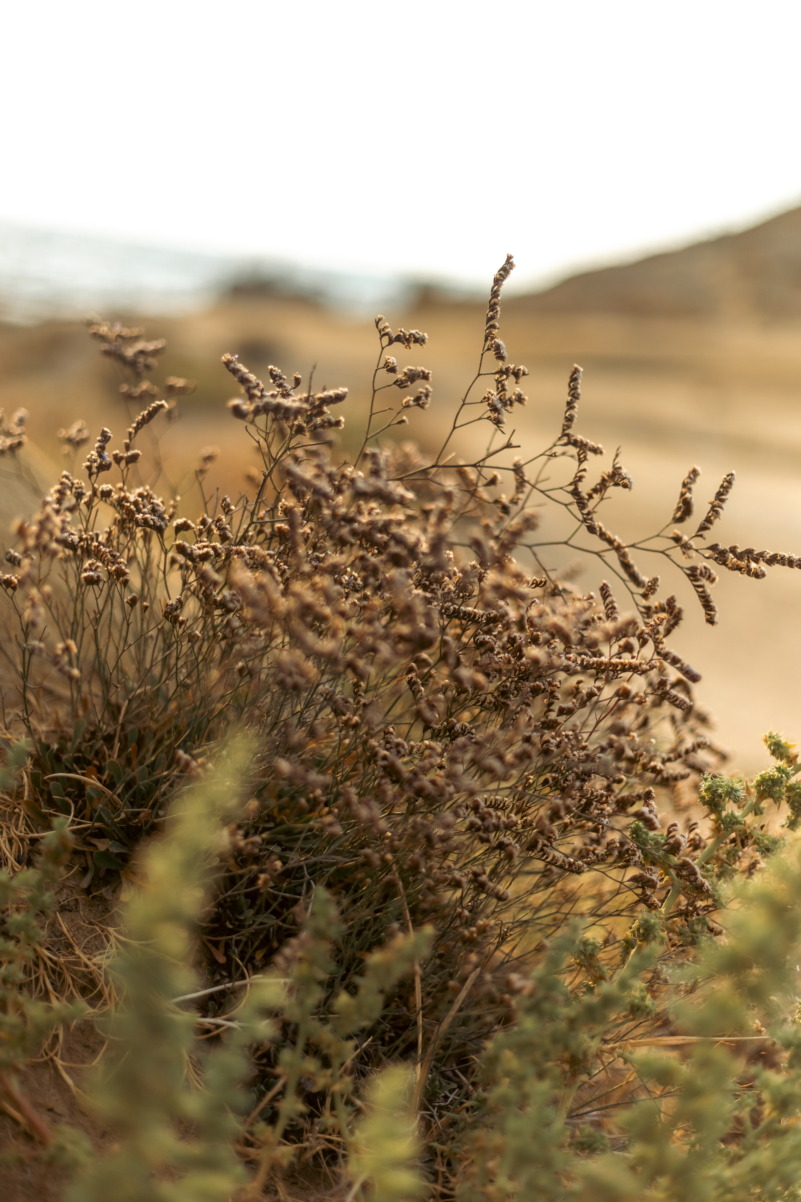 Денис. Семейный фотограф Израиль