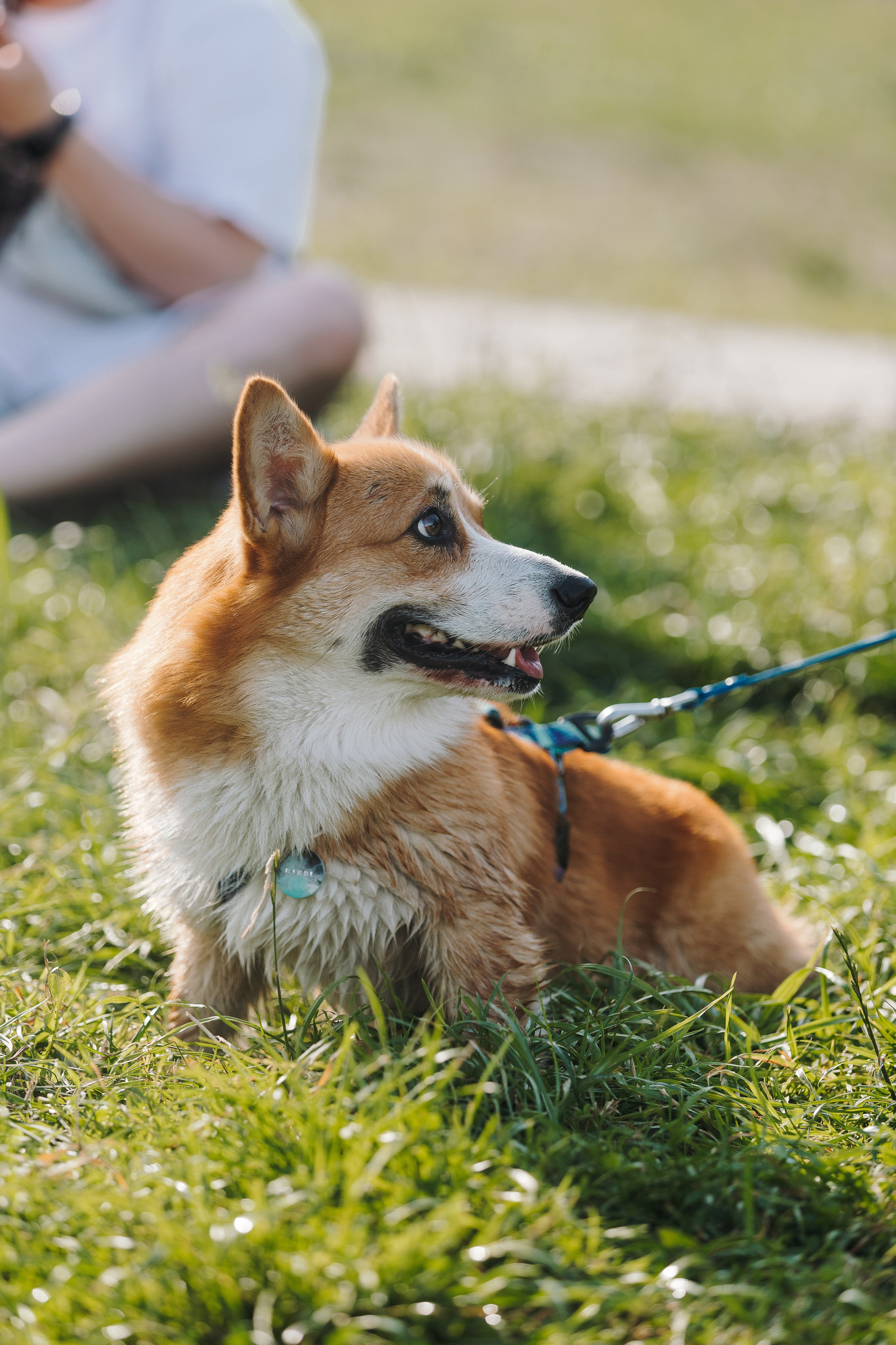 Petshop Sup day. Фотограф анималист Кристина Карпова, Москва